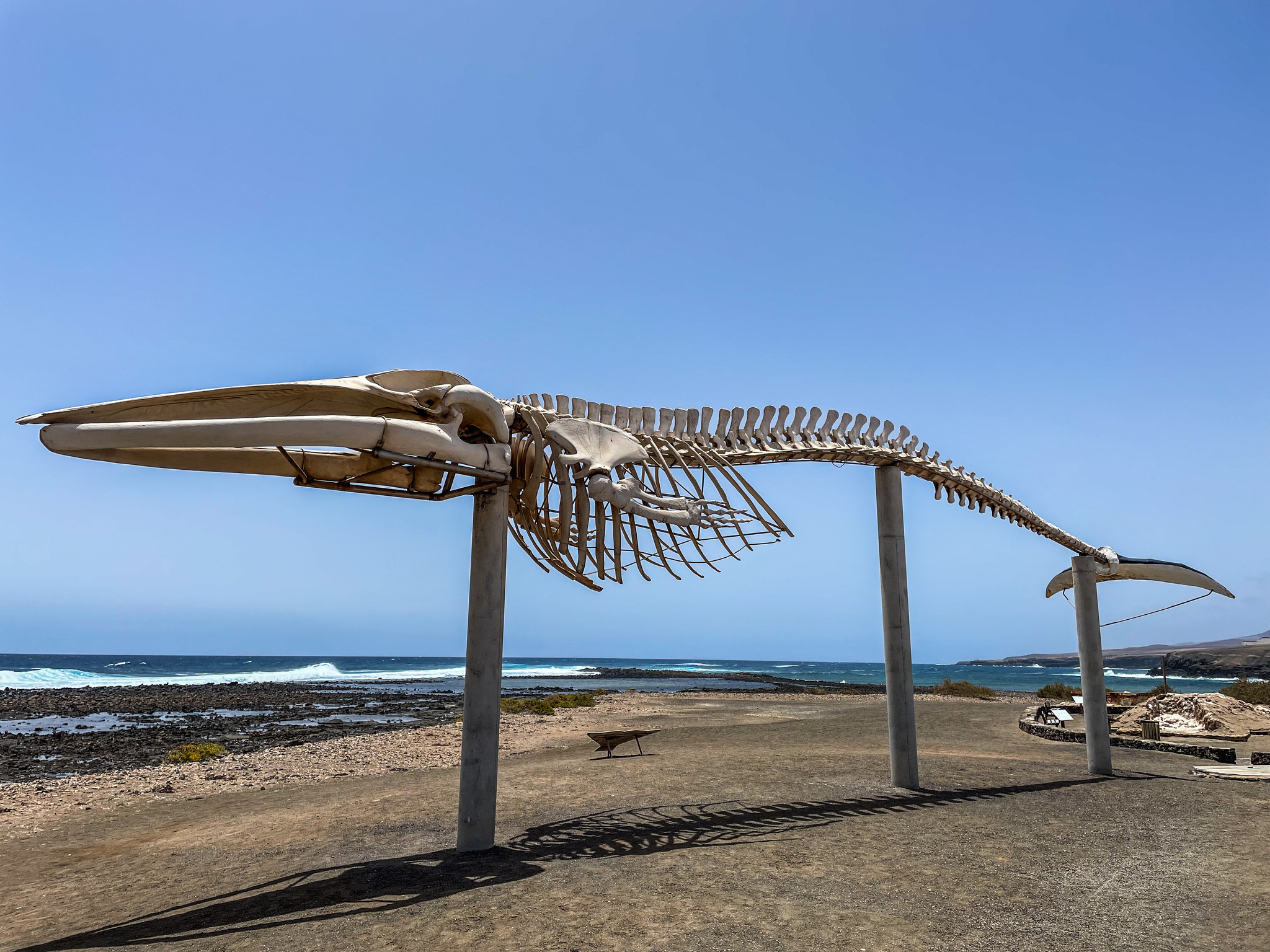 Fuerteventura: Caleta de Fuste - Моё, Путешествия, Испания, Канарские острова, Отпуск, Океан, Отдых, Остров, Люди, Город, Пляж, Длиннопост, Мобильная фотография, Фотография, Еда, Животные, Музей, Соль