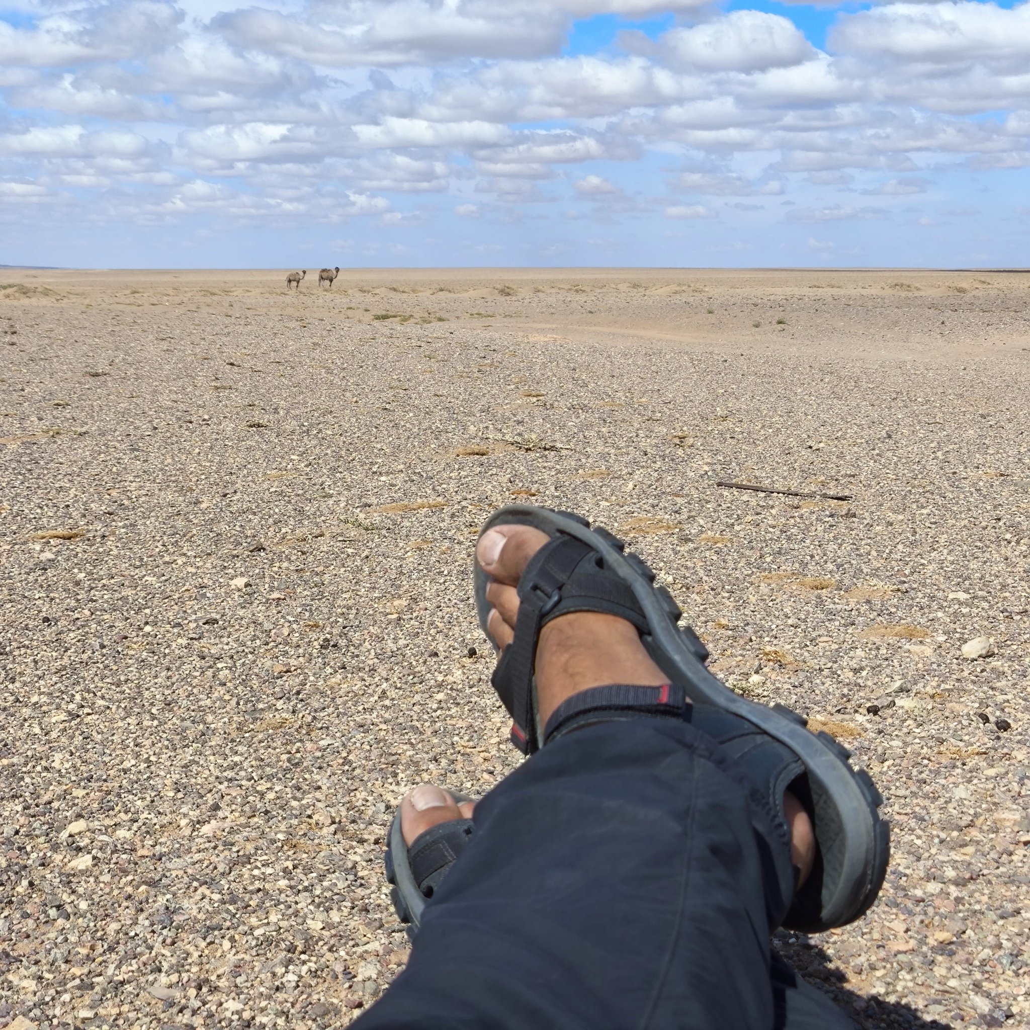 Diary of a trip to Melanesia. Day 9. Walking through the desert - My, Life stories, Fight for survival, Adventures, Around the world, Drive, Travels, Informative, Mongolia, Gobi, Hike, Unusual, Longpost