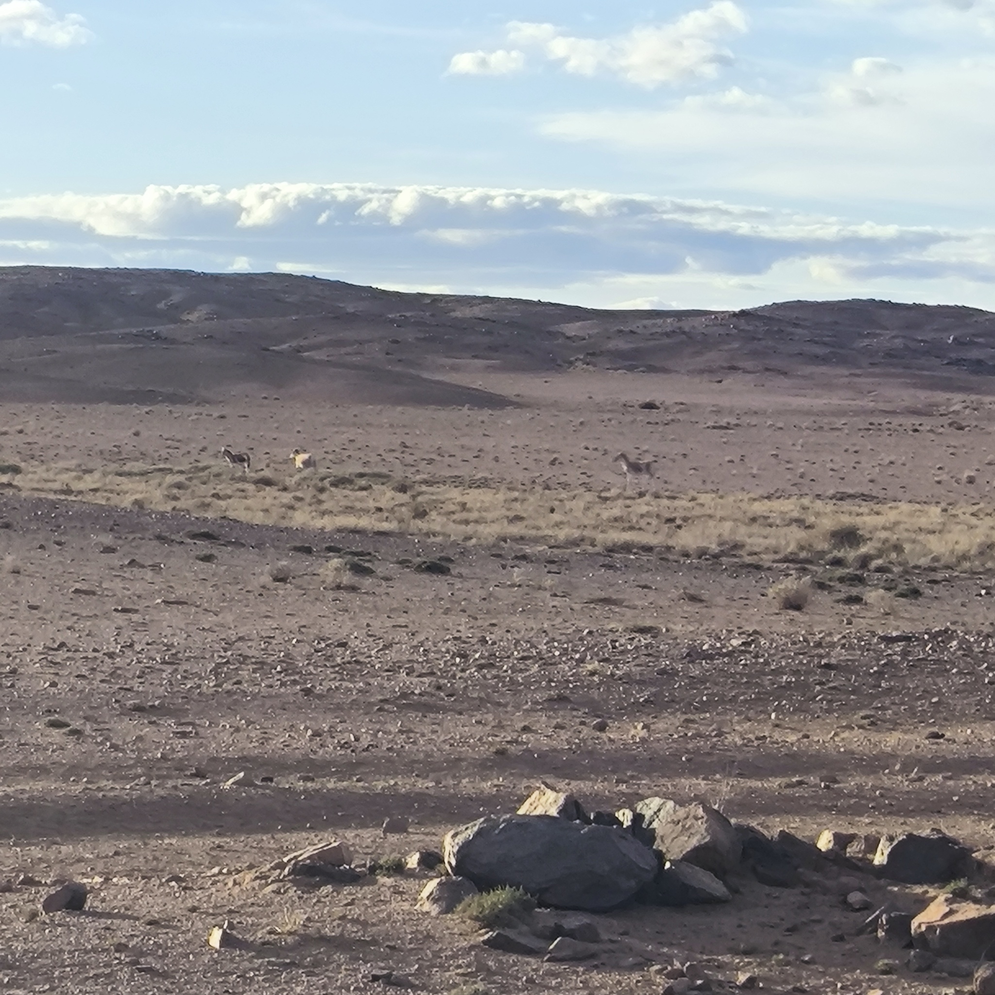 Diary of a trip to Melanesia. Day 9. Walking through the desert - My, Life stories, Fight for survival, Adventures, Around the world, Drive, Travels, Informative, Mongolia, Gobi, Hike, Unusual, Longpost