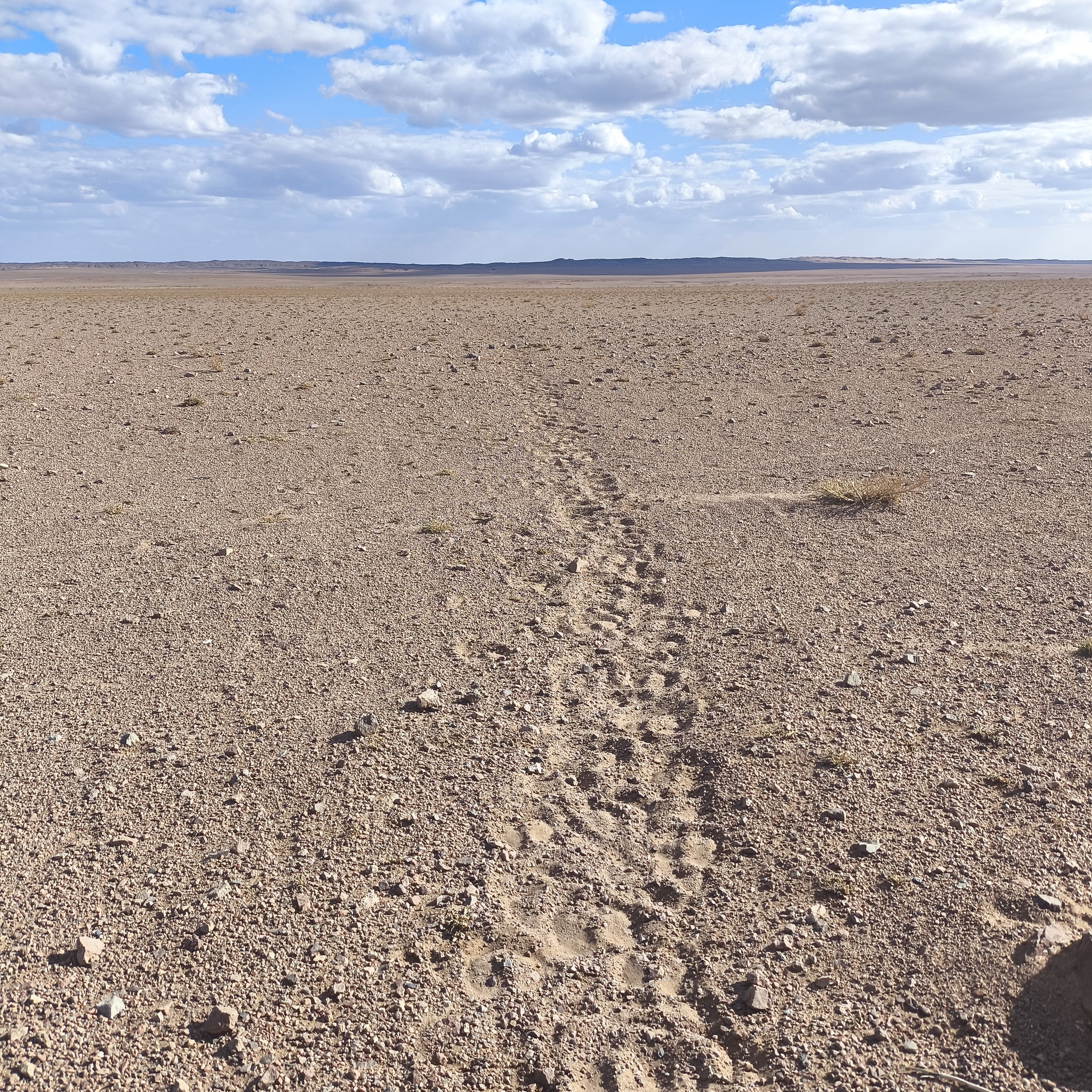 Diary of a trip to Melanesia. Day 9. Walking through the desert - My, Life stories, Fight for survival, Adventures, Around the world, Drive, Travels, Informative, Mongolia, Gobi, Hike, Unusual, Longpost