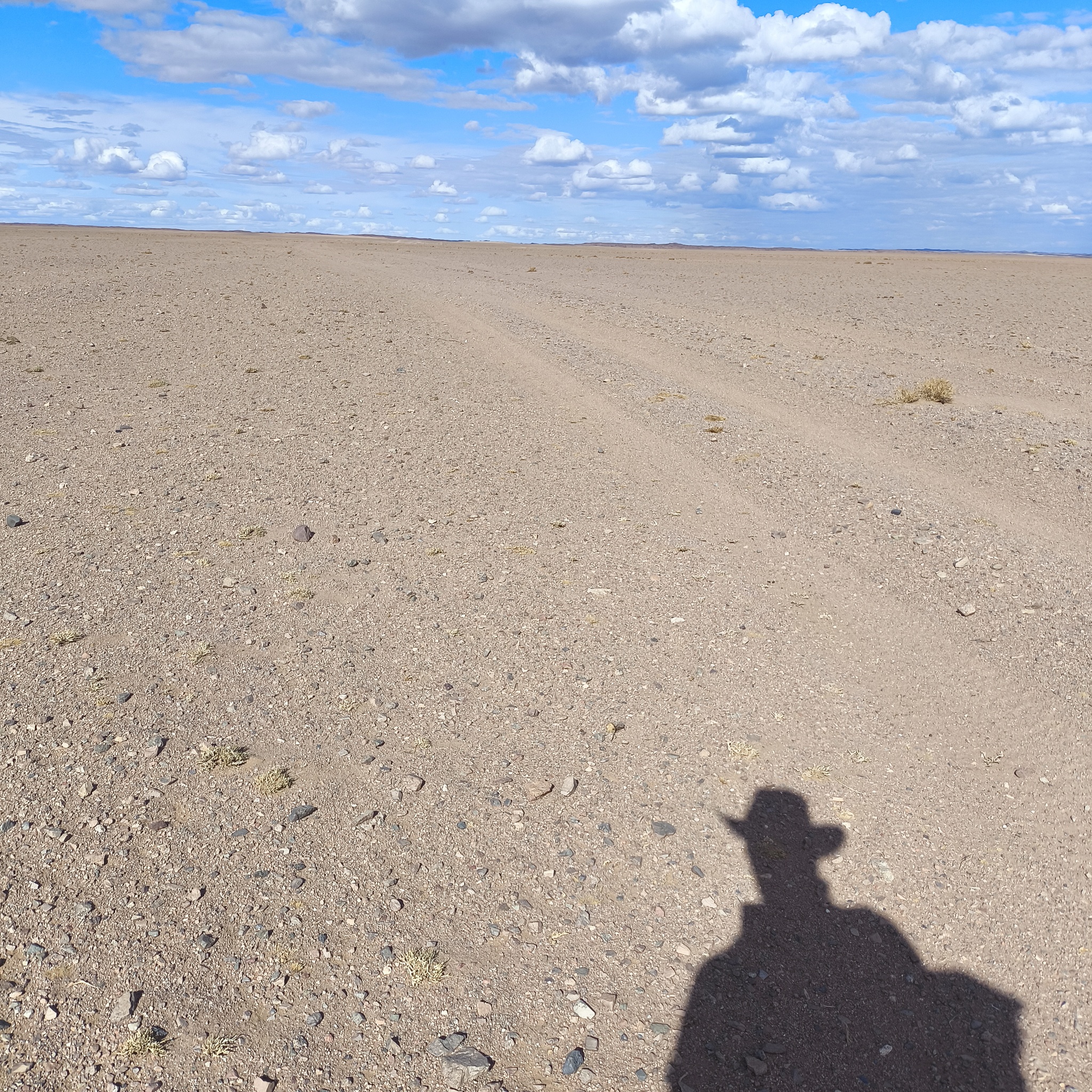 Diary of a trip to Melanesia. Day 9. Walking through the desert - My, Life stories, Fight for survival, Adventures, Around the world, Drive, Travels, Informative, Mongolia, Gobi, Hike, Unusual, Longpost