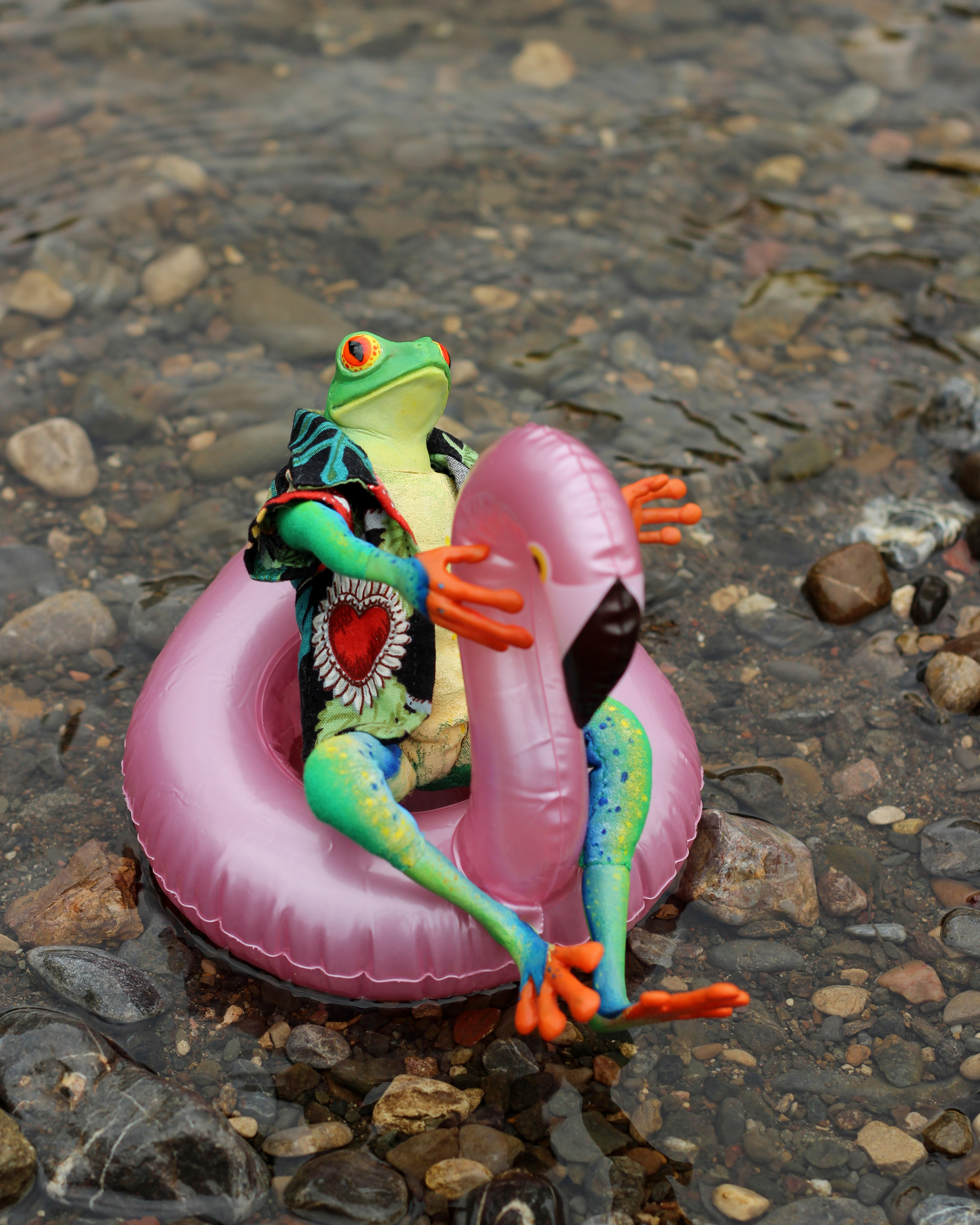 Summer Wednesday - My, Frogs, Author's toy, It Is Wednesday My Dudes, Toad, Needlework without process, Doll, Polymer clay, Wednesday, Лепка, Handmade, Longpost