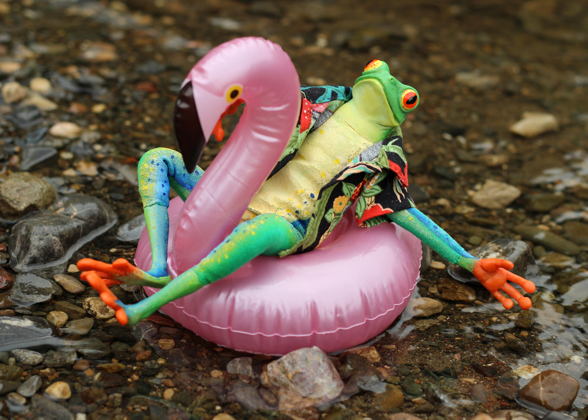 Summer Wednesday - My, Frogs, Author's toy, It Is Wednesday My Dudes, Toad, Needlework without process, Doll, Polymer clay, Wednesday, Лепка, Handmade, Longpost