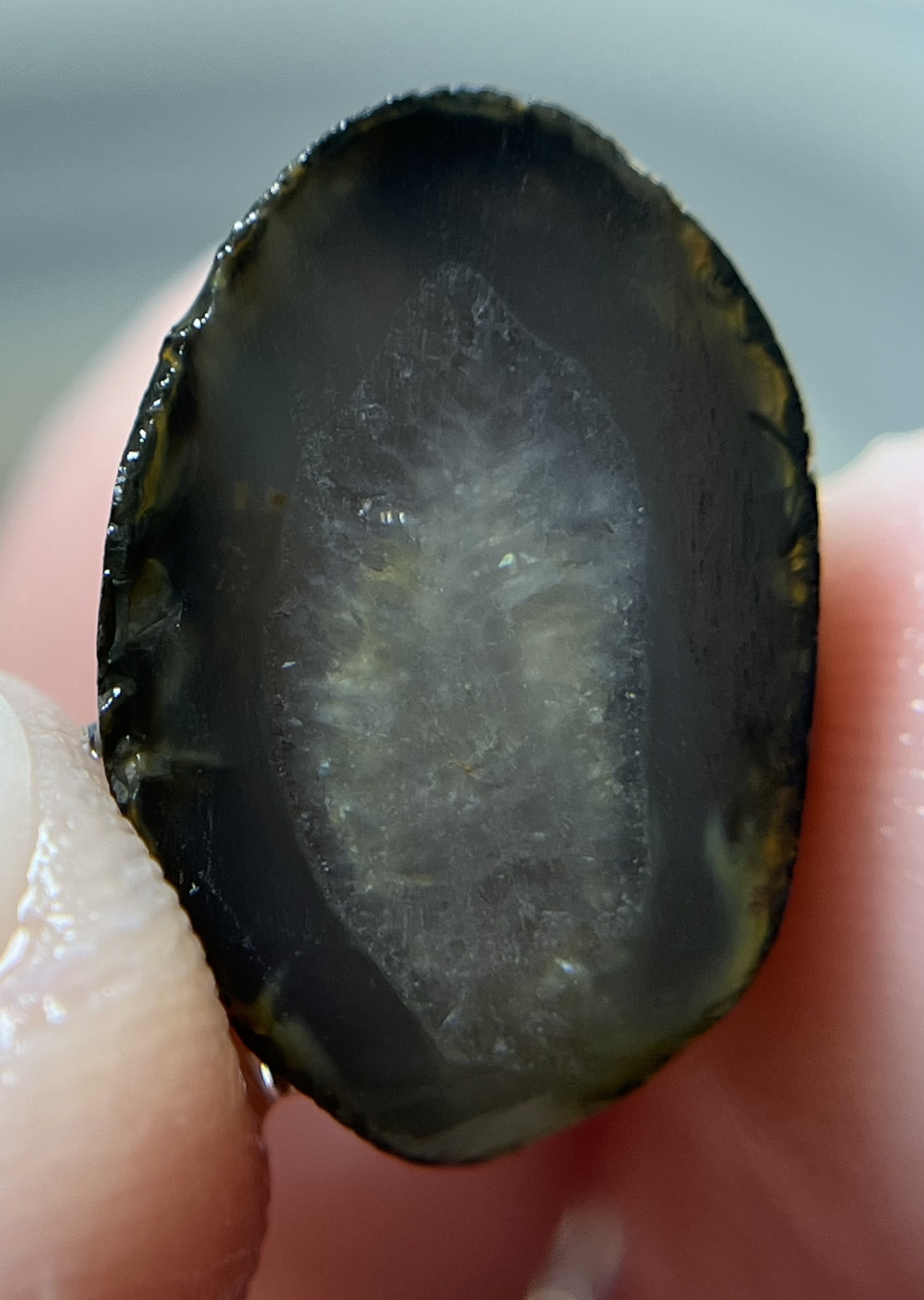 What's inside the stone? We cut and look. Part 4 - My, Agate, Saw cut, Longpost