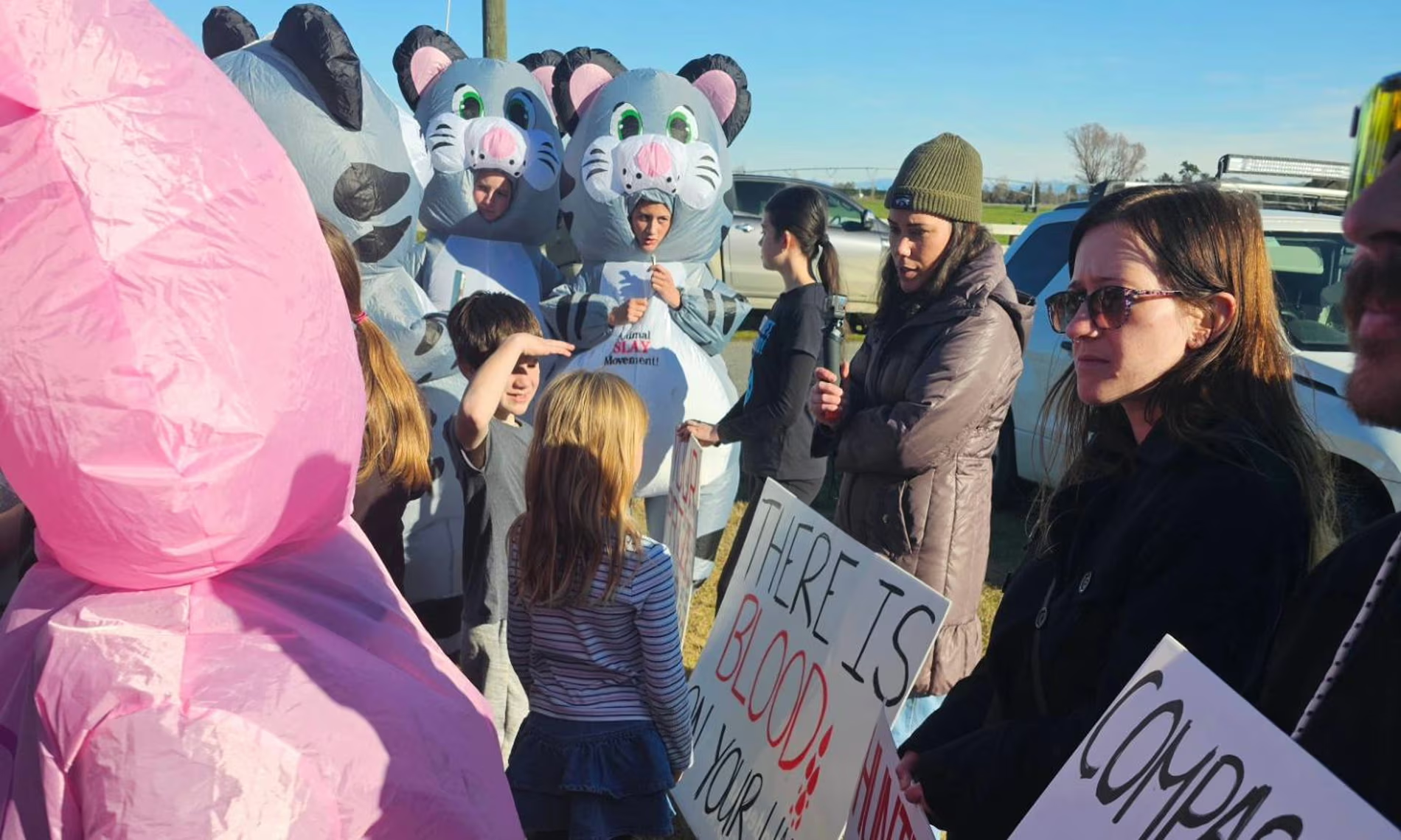 New Zealand cat hunt involving children - cat, Negative, Killing an animal, New Zealand, Competitions, Animal defenders, Homeless animals, Children, Protection of Nature, Longpost