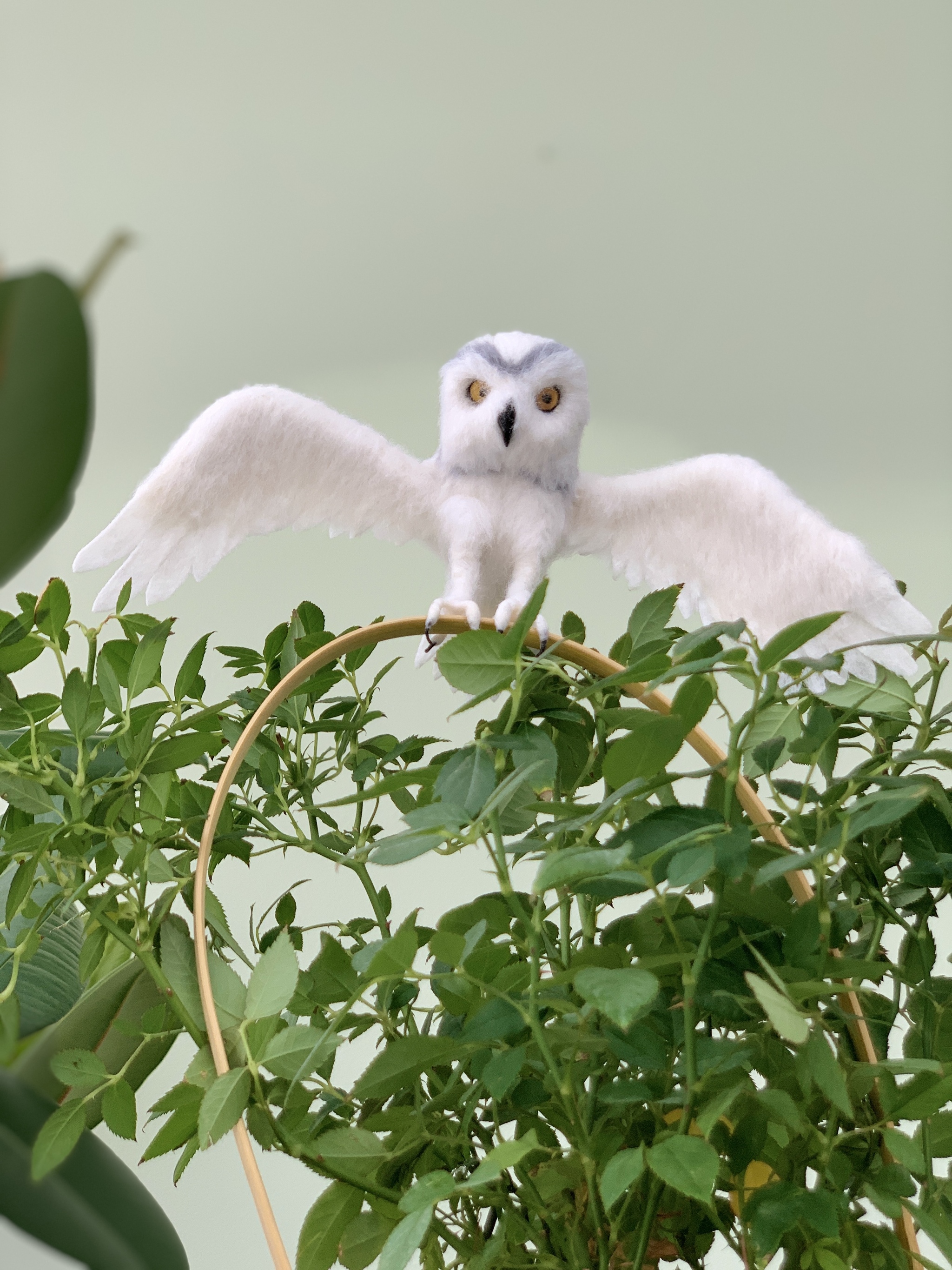 Owl made of wool Dry felting of birds - My, Birds, Animals, Funny animals, Owl, Owl, Ornithology, Dry felting, Humor, Video, Youtube, Longpost, Needlework without process