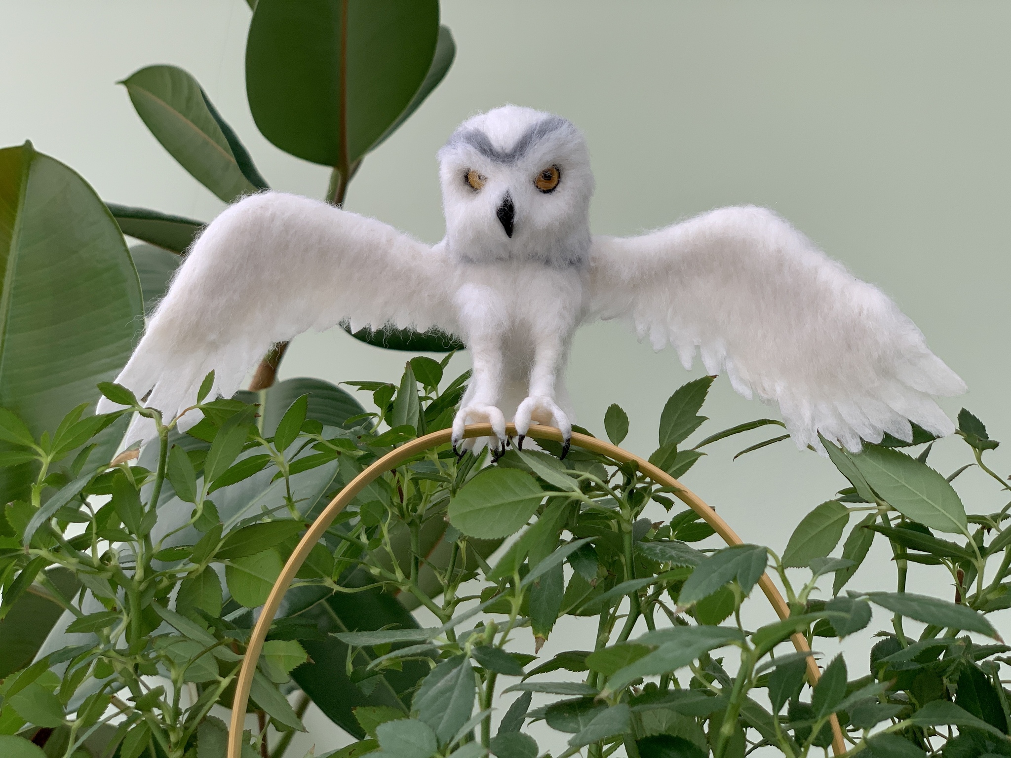 Owl made of wool Dry felting of birds - My, Birds, Animals, Funny animals, Owl, Owl, Ornithology, Dry felting, Humor, Video, Youtube, Longpost, Needlework without process