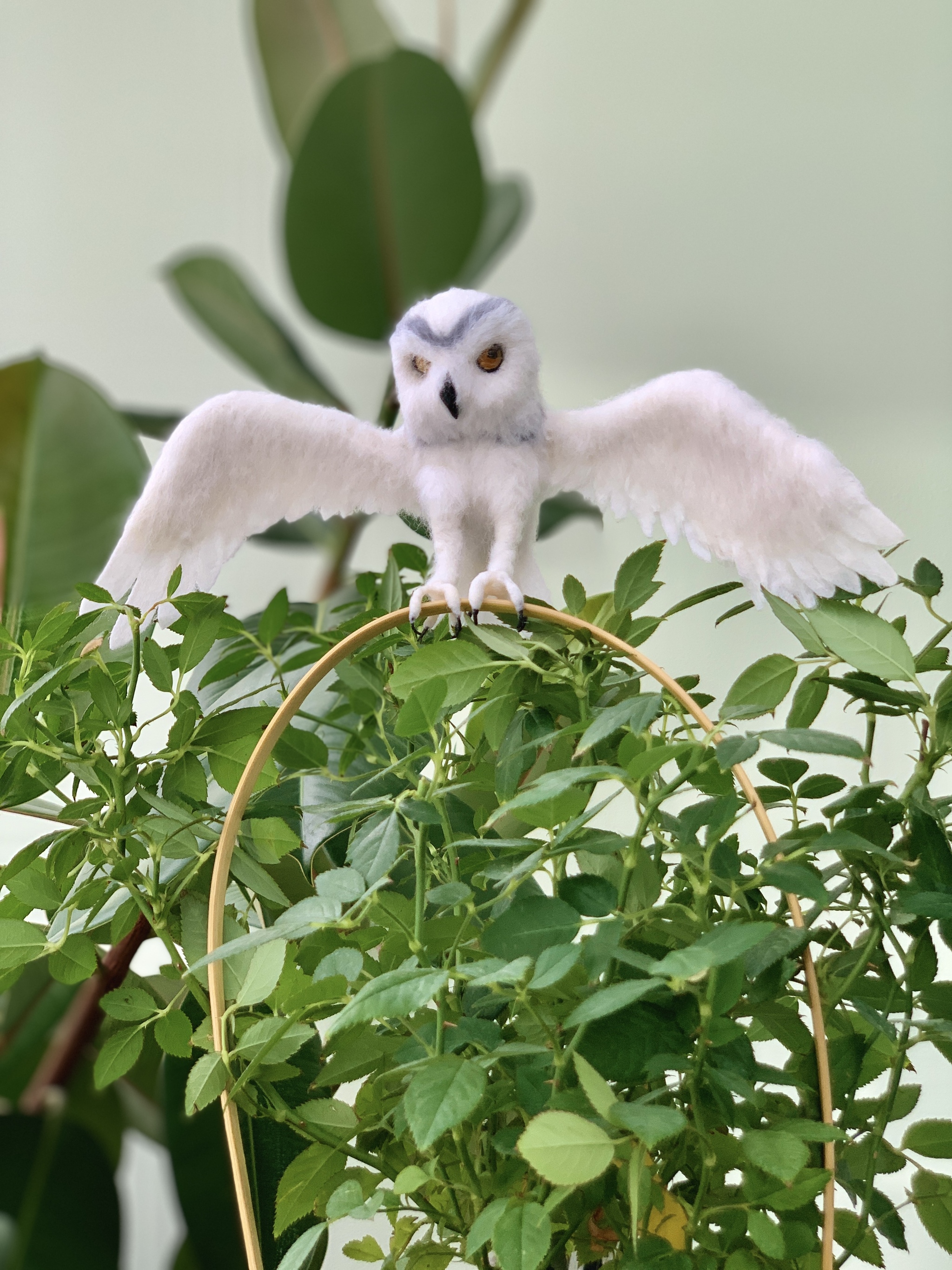 Owl made of wool Dry felting of birds - My, Birds, Animals, Funny animals, Owl, Owl, Ornithology, Dry felting, Humor, Video, Youtube, Longpost, Needlework without process