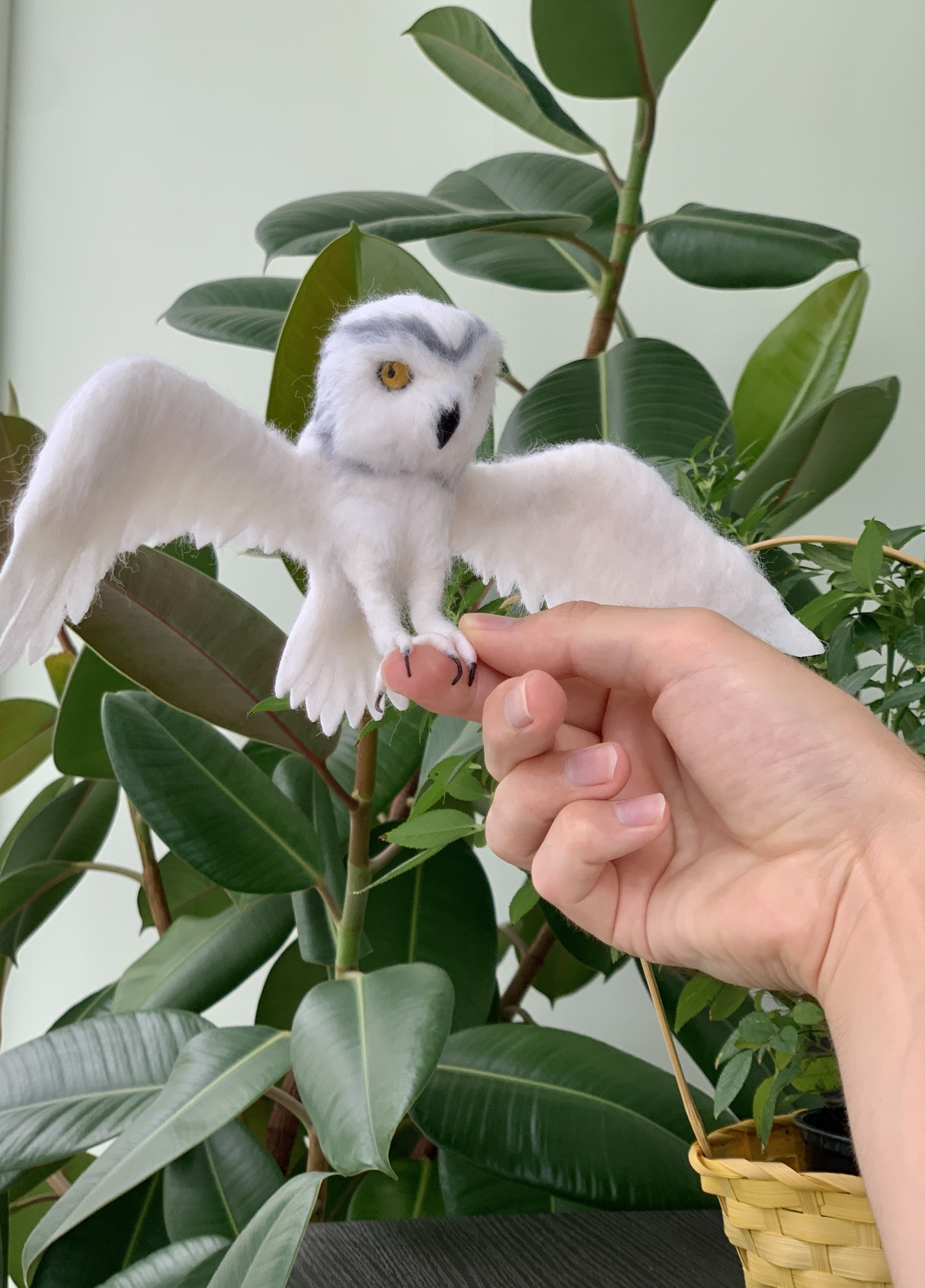 Owl made of wool Dry felting of birds - My, Birds, Animals, Funny animals, Owl, Owl, Ornithology, Dry felting, Humor, Video, Youtube, Longpost, Needlework without process