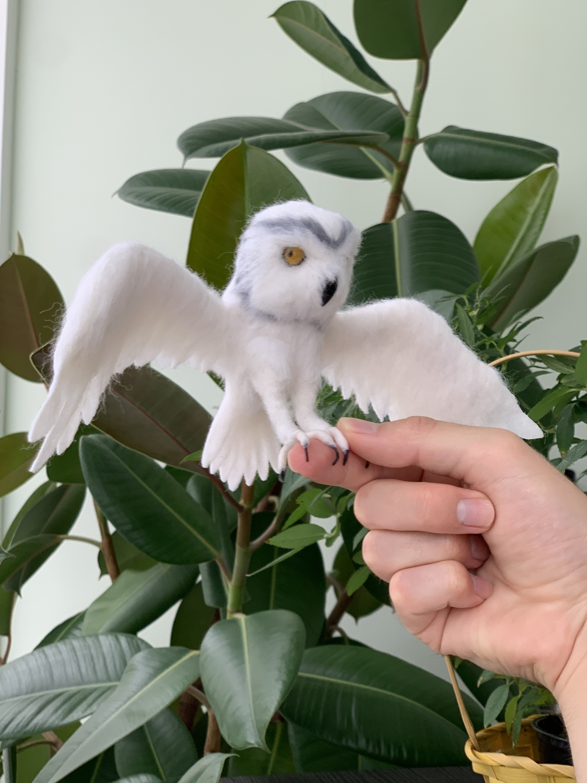 Owl made of wool Dry felting of birds - My, Birds, Animals, Funny animals, Owl, Owl, Ornithology, Dry felting, Humor, Video, Youtube, Longpost, Needlework without process