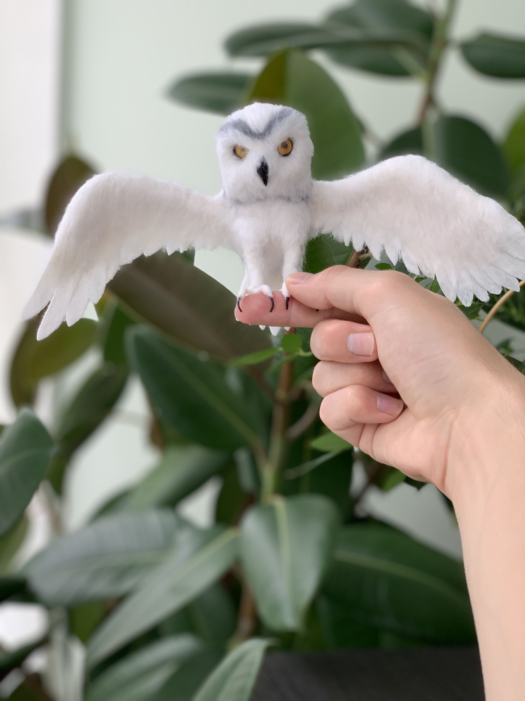 Owl made of wool Dry felting of birds - My, Birds, Animals, Funny animals, Owl, Owl, Ornithology, Dry felting, Humor, Video, Youtube, Longpost, Needlework without process