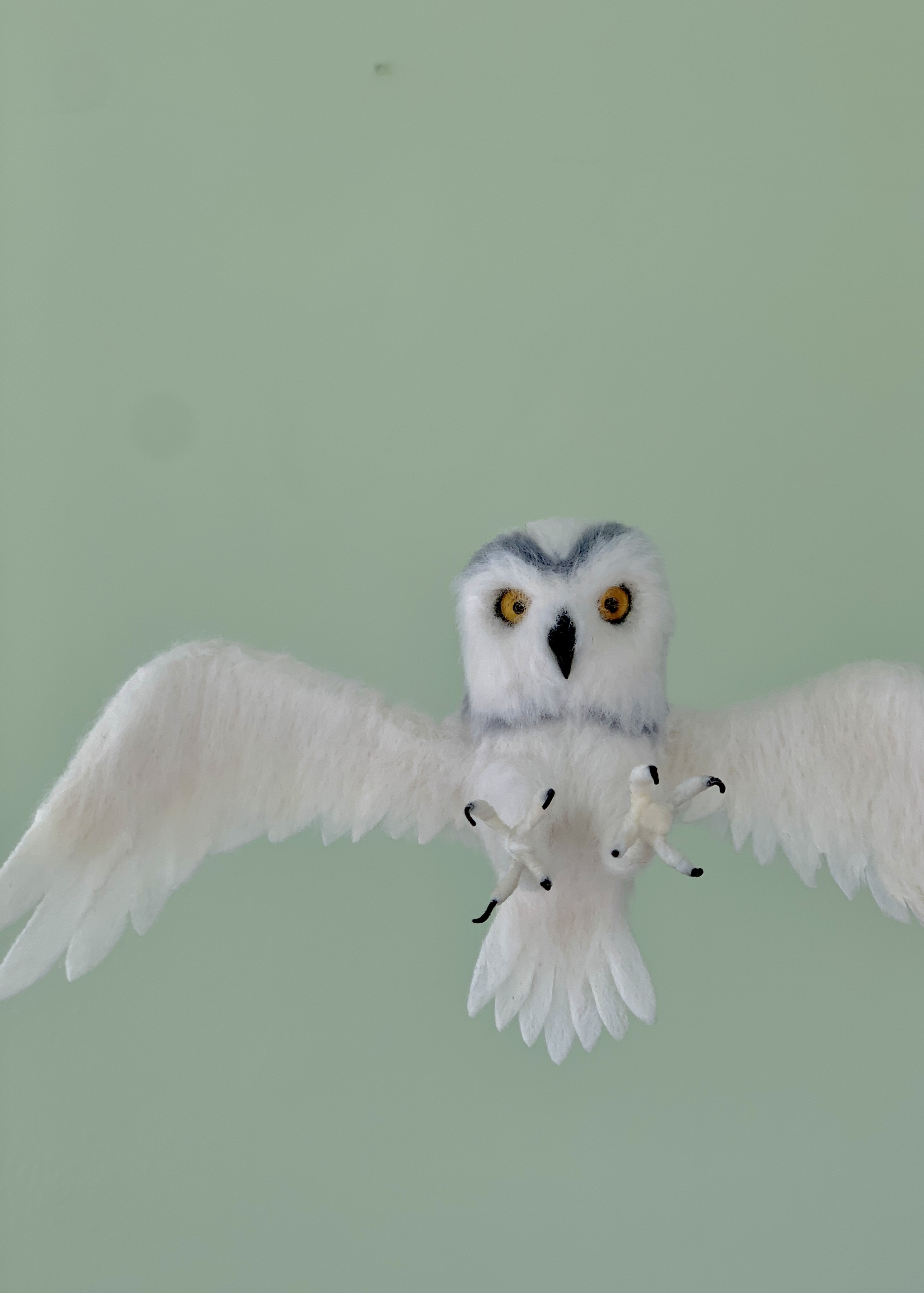 Owl made of wool Dry felting of birds - My, Birds, Animals, Funny animals, Owl, Owl, Ornithology, Dry felting, Humor, Video, Youtube, Longpost, Needlework without process