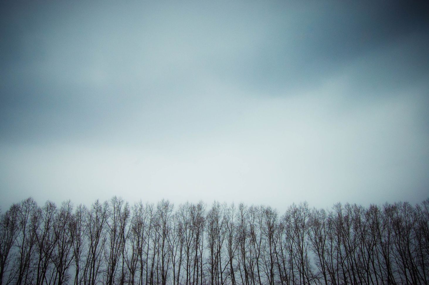 Spring melancholy - My, The photo, Spring, Minimalism, Nature, Landscape, Melancholy