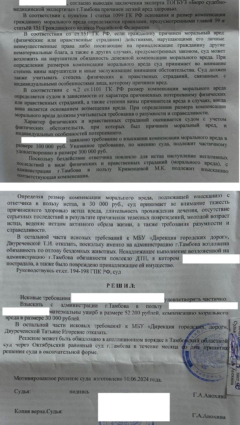 Возмещение ущерба после ДТП с бездомной собакой - ДТП, Суд, Бездомные животные, Нападение собак, Происшествие, Возмещение ущерба, Длиннопост, Негатив