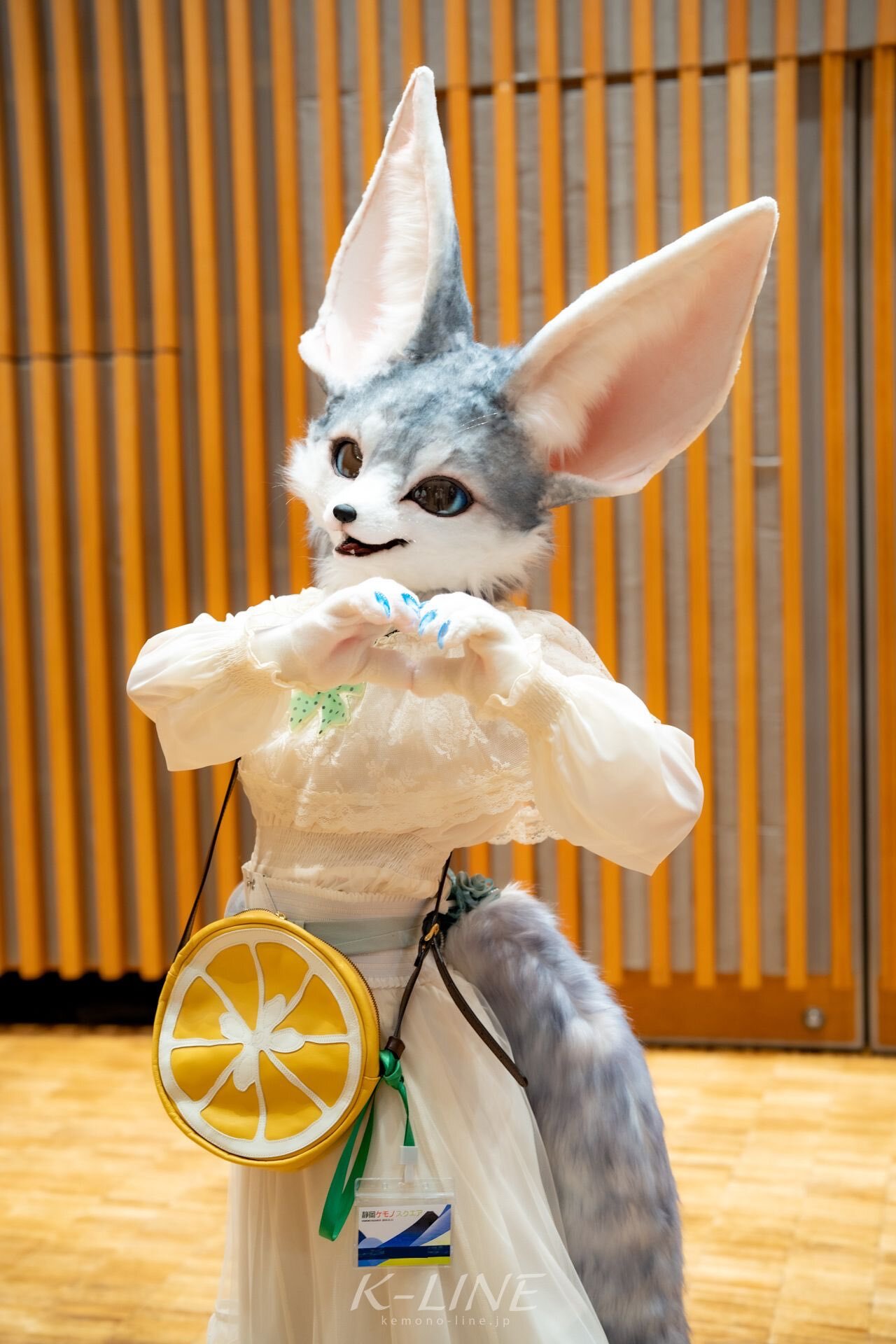 Sabon - Furry, Fursjoot, Furry fennec, Furry fox, Furry canine, Longpost, Milota, Video, Vertical video