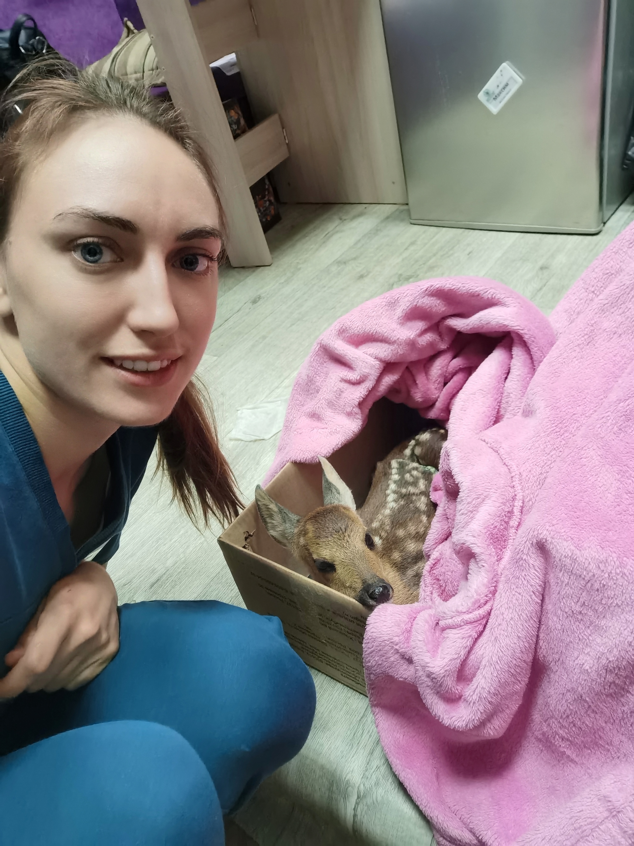 What's the best thing about being a veterinarian? - My, Veterinary, Сельское хозяйство, Vet, Village, Village, Profession, Pros and cons, Health, Treatment, Video, Vertical video, Longpost