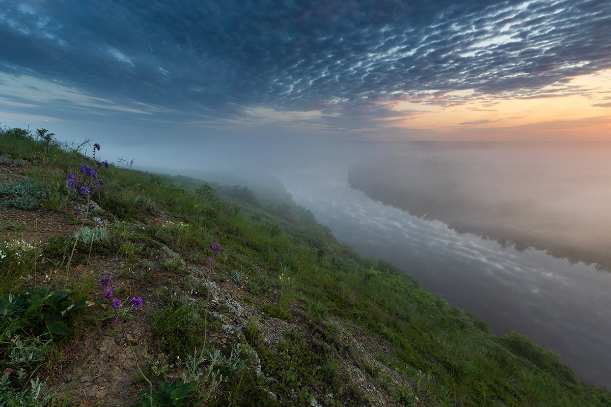 Mystery of dawn - My, Rostov region, Seversky Donets, Fog, The photo