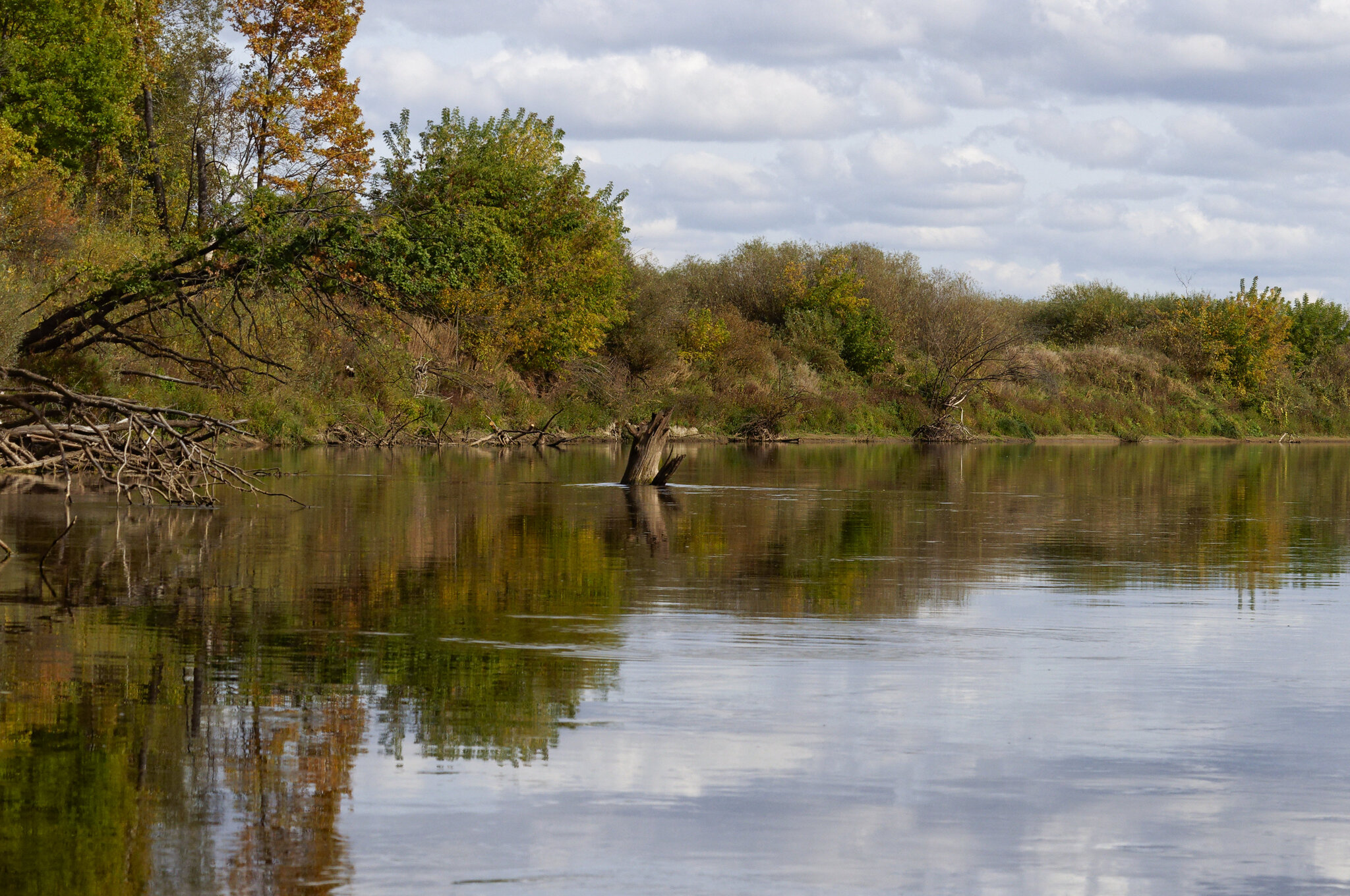 Fishing with a spinning rod in a deep snag - My, Fishing, Nature, The nature of Russia, Technical fishing, Jig, Spinning, Pike, Perch, Longpost