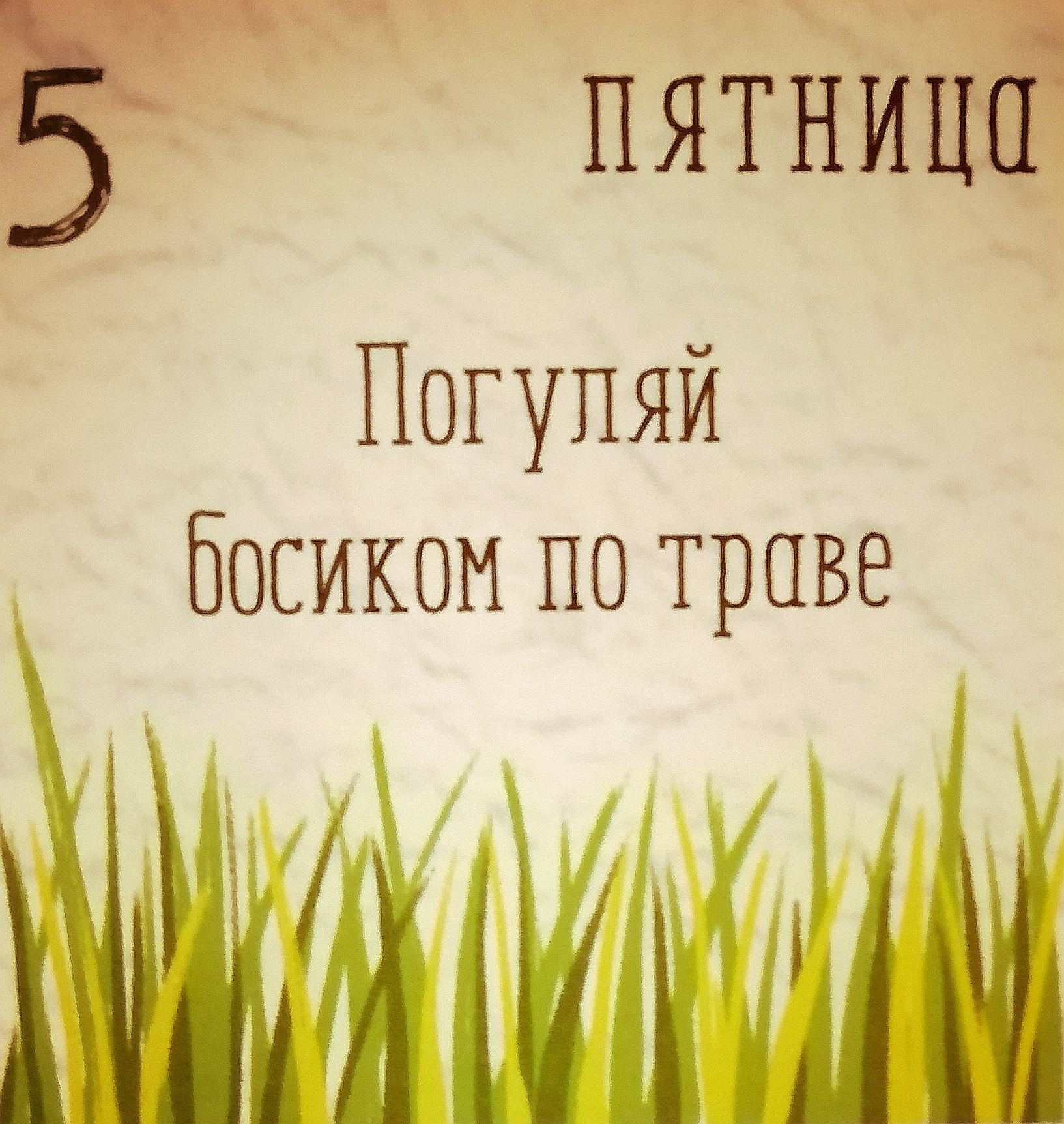 Вайб дня от 5 июля - Моё, Календарь, Кот, Кот учёный, Вайб, Милота, Видео, Вертикальное видео, Длиннопост