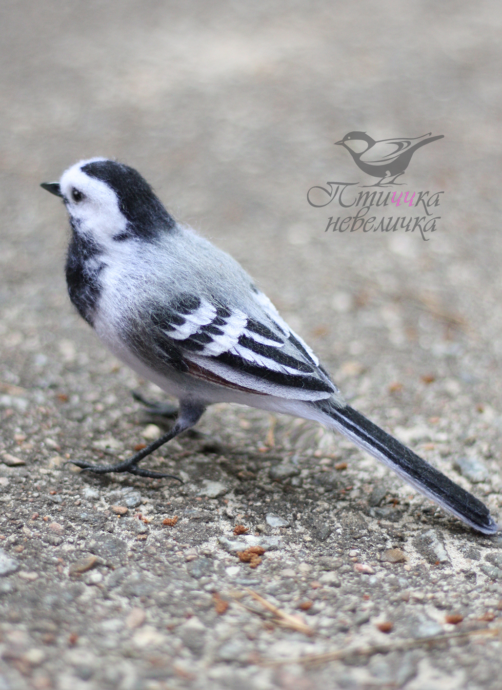 Felted a wagtail - My, Dry felting, Wallow, Needlework, Needlework without process, With your own hands, Master, Hobby, Creation, Handmade, Birds, Author's toy, Longpost