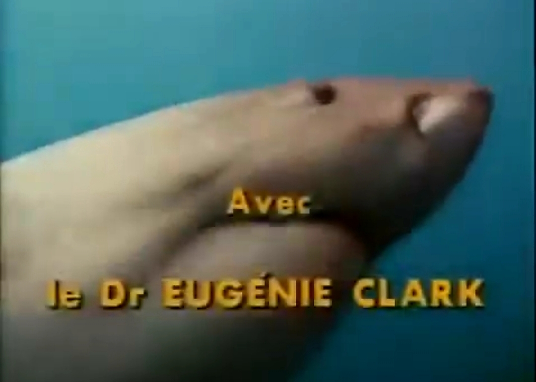 UNDERWATER ODYSSEY OF TEAM CUSTEAU - Nostalgia, Jacques Yves Cousteau, Calypso, ORT, Underwater world, Sea, Ocean, Travelers, Scuba, Childhood of the 90s, YouTube (link), Longpost