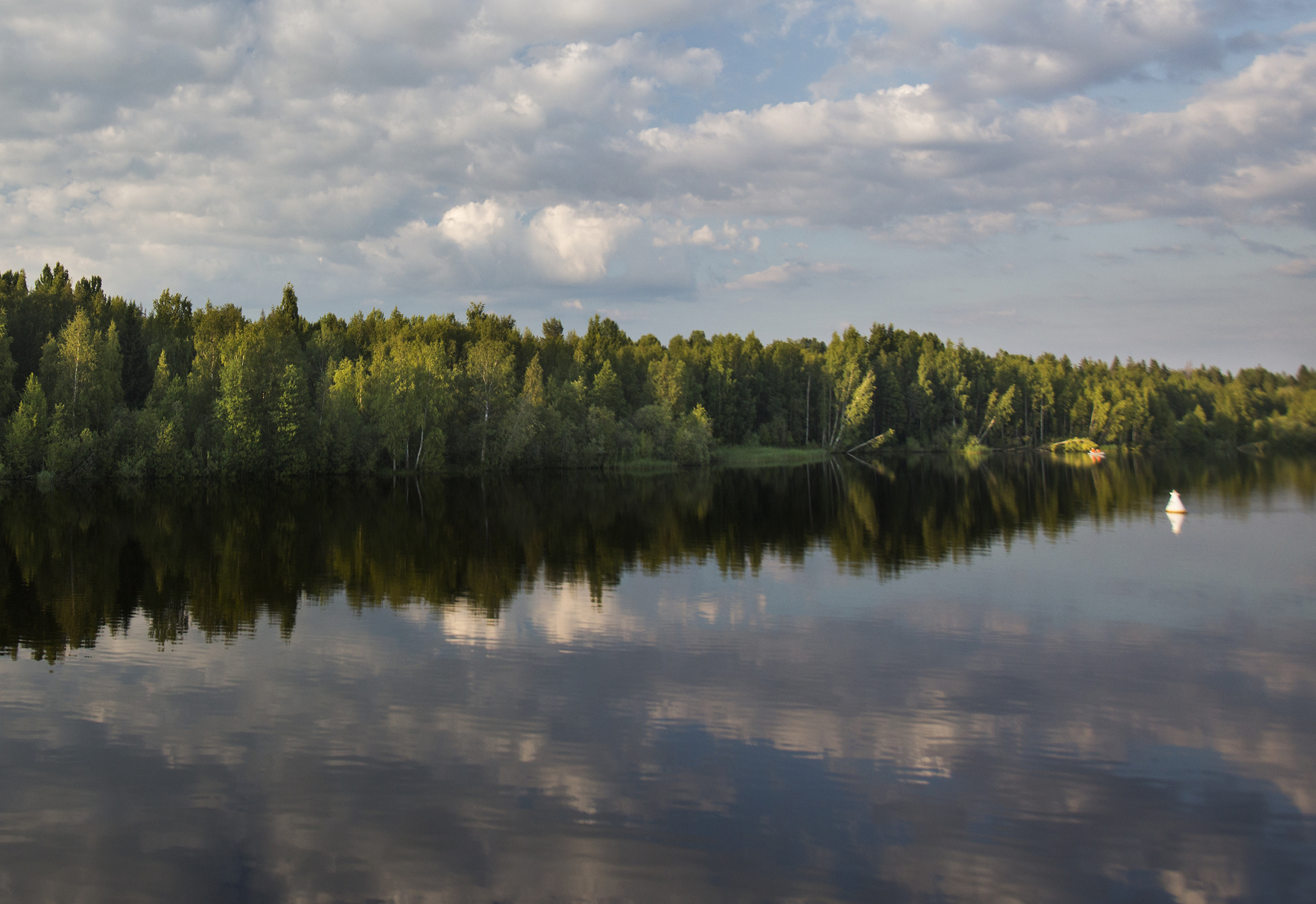 На реке Свирь - Моё, Фотография, Путешествия, Река Свирь, Ленинградская область, Природа России