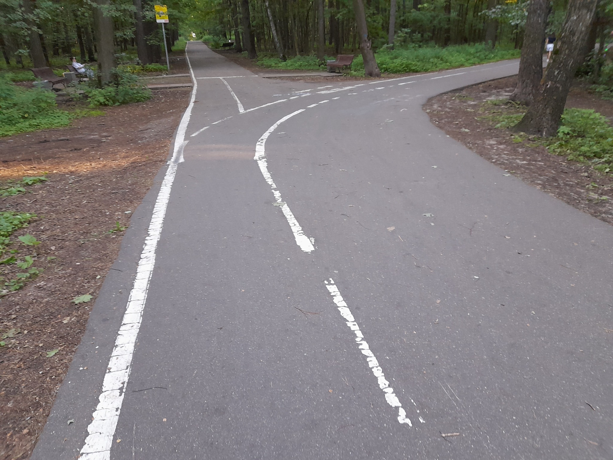 Bike lane in the park - My, Infuriates, Sport, The park, Bike path