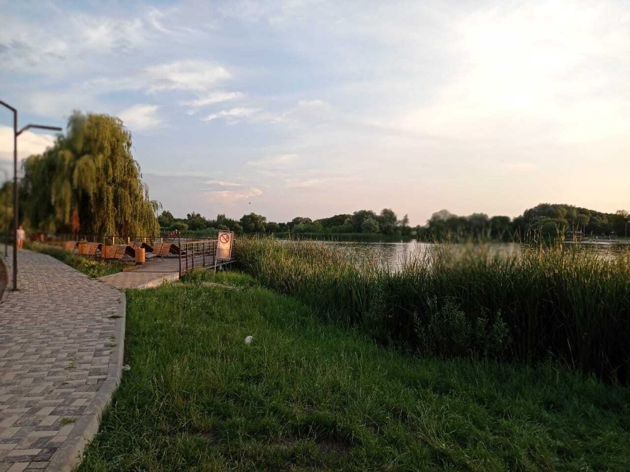 A little bit about life in a town in the Voronezh region (07/06/24) - My, Village, Village, Pond, Mobile photography, Longpost