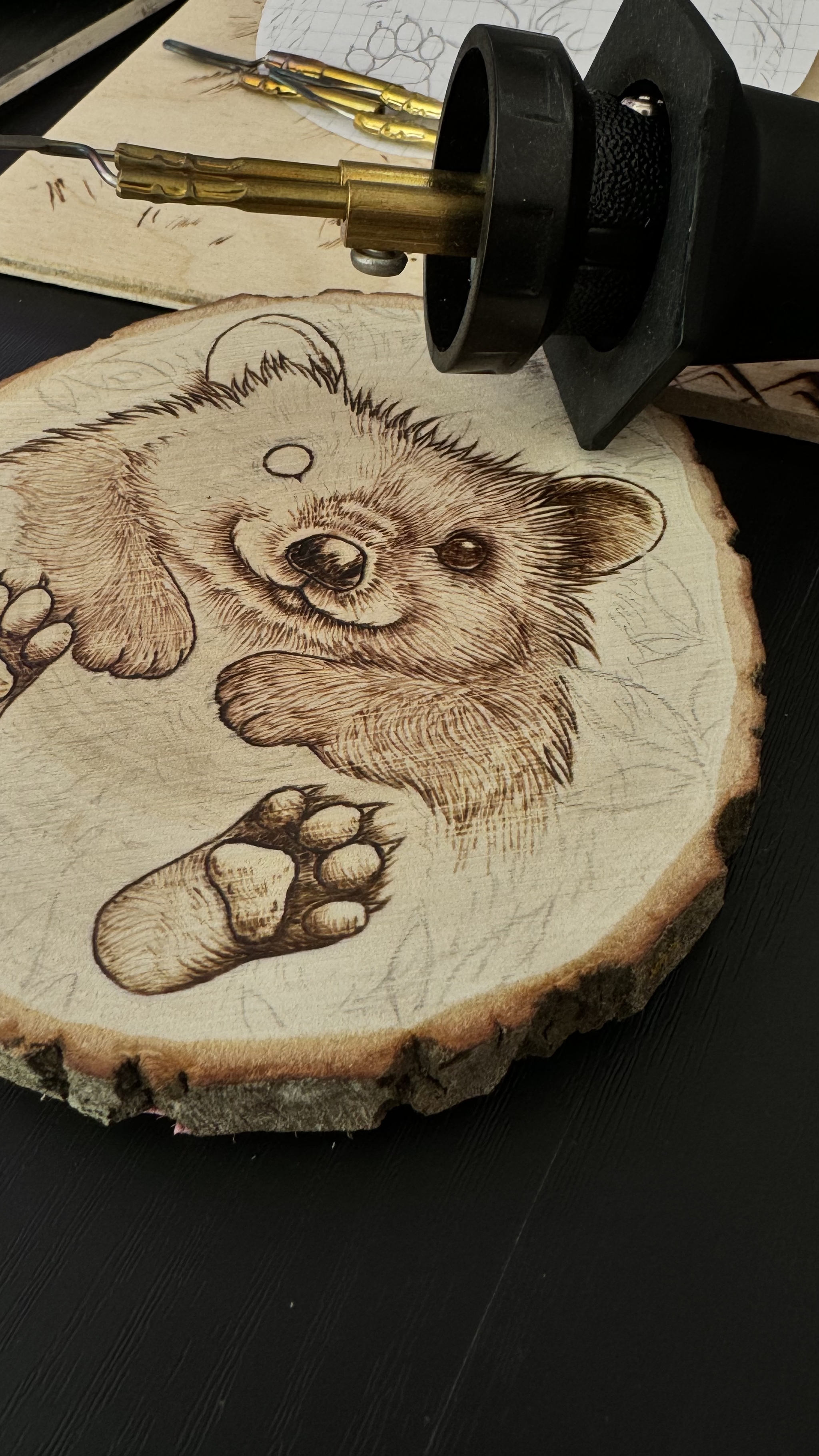 Hedgehog, wood burning - My, Pyrography, Handmade, Woodworking, Hedgehog, Hobby, Creation, Longpost, Needlework without process