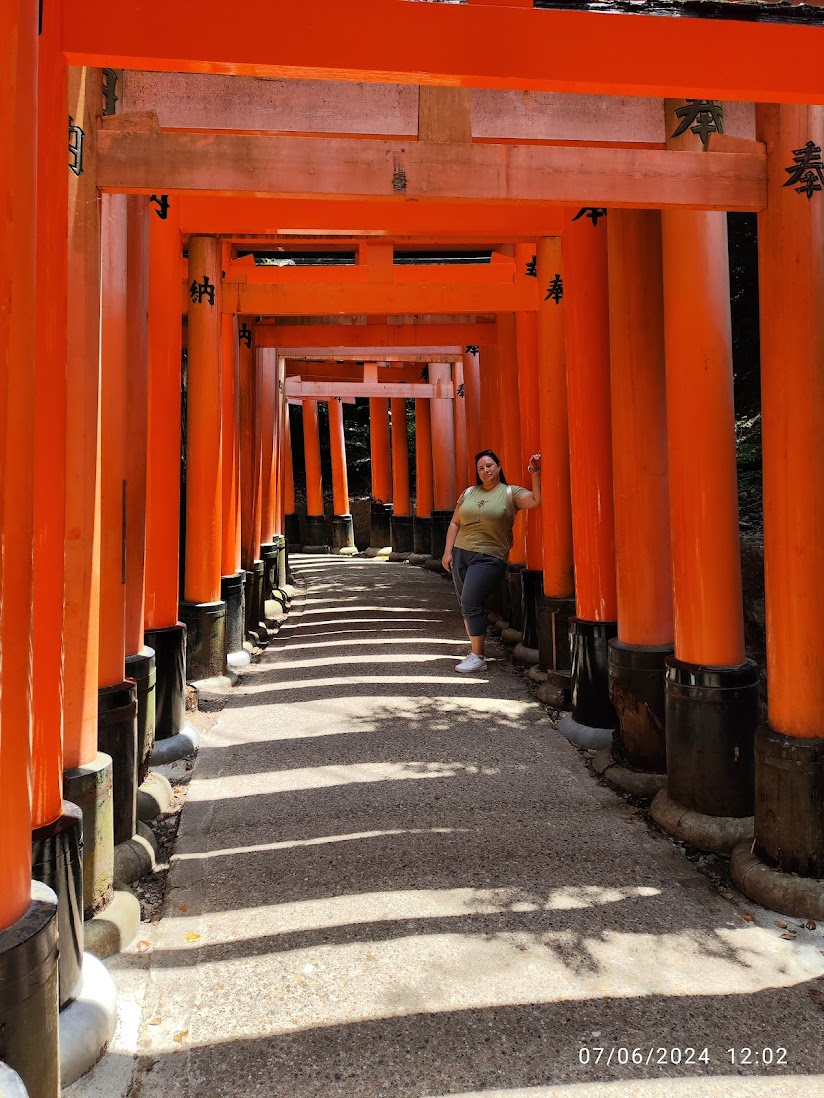 Instead of magnets: Japan (Part 3) - My, The photo, Drive, sights, Travels, Japan, Kyoto, Fushimi Inari, Video, Longpost