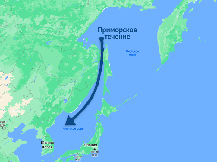 Простой способ подписать мирный договор с Японией - Моё, Политика, Россия, Япония, Сахалин, Длиннопост