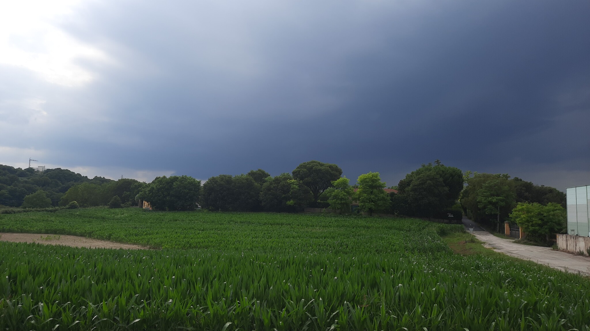 Before the storm - My, Nature, Thunderstorm, Mobile photography