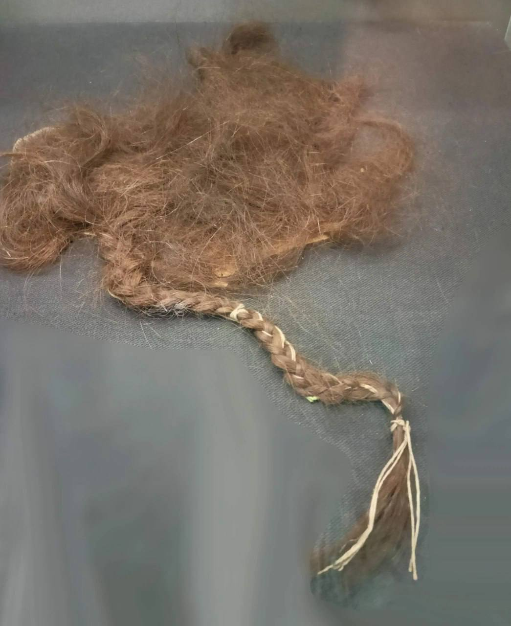 The braid of the courtyard girl Tatyana Petrova, torn out in 1842 by the landowner Sokolova - My, Nauchpop, Research, The science, Scientists, Violence, Civilization, Negative, Serfdom