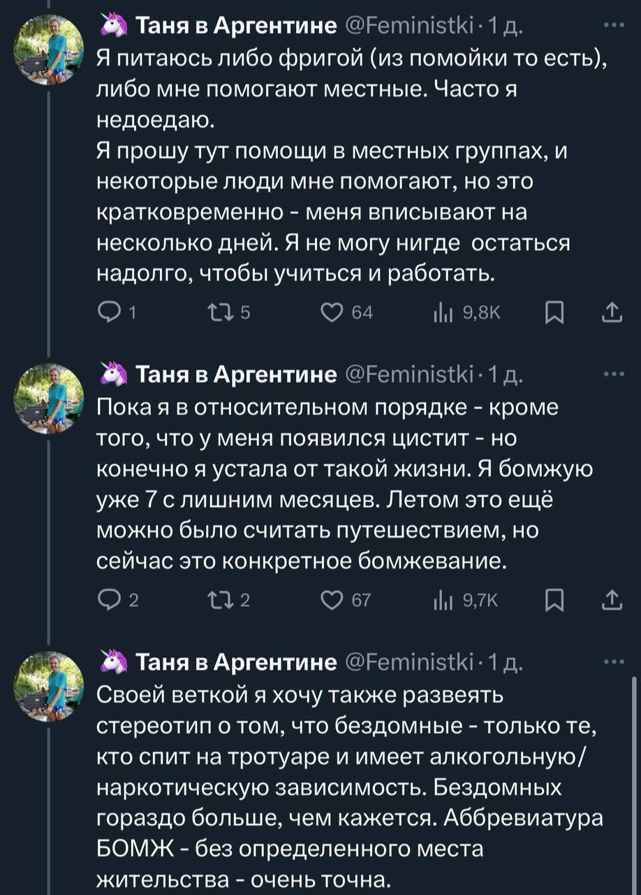 Приключения электрицы - Релокация, Аргентина, Феминистки, Twitter, Скриншот, Татьяна Болотина, Политика, Длиннопост