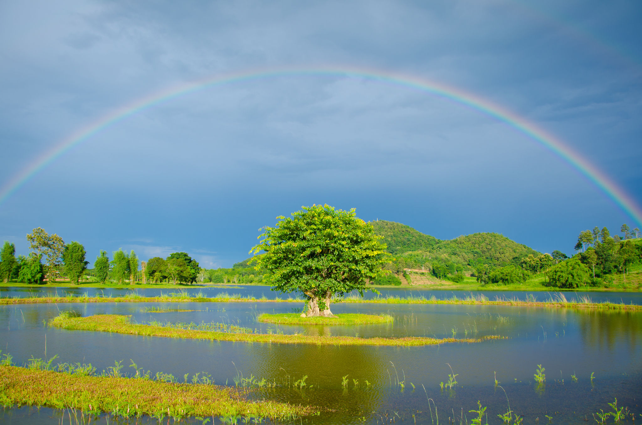 Rainbow - Rainbow, The photo