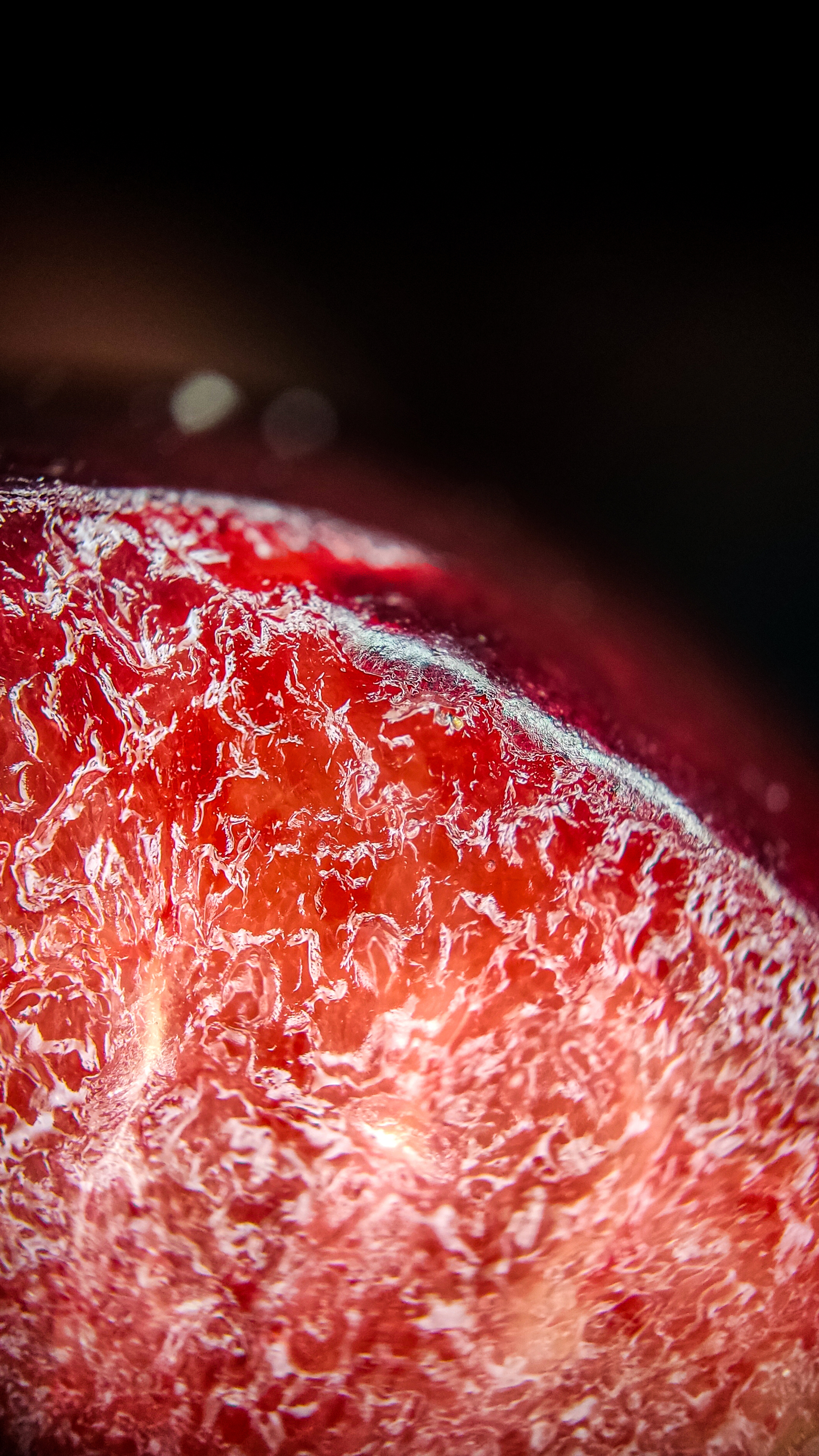 Photo project Let's take a closer look post No. 41. Cherries - My, Nature, Macro photography, The photo, Berries, Фрукты, The nature of Russia, The science, Longpost