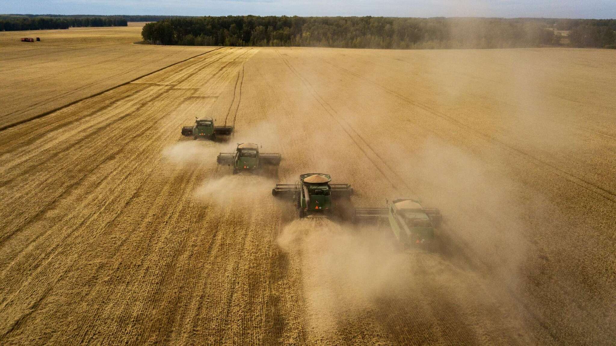 Reply to the post “Harvest, USSR, 1980s” - Harvest, Cleaning, Reply to post