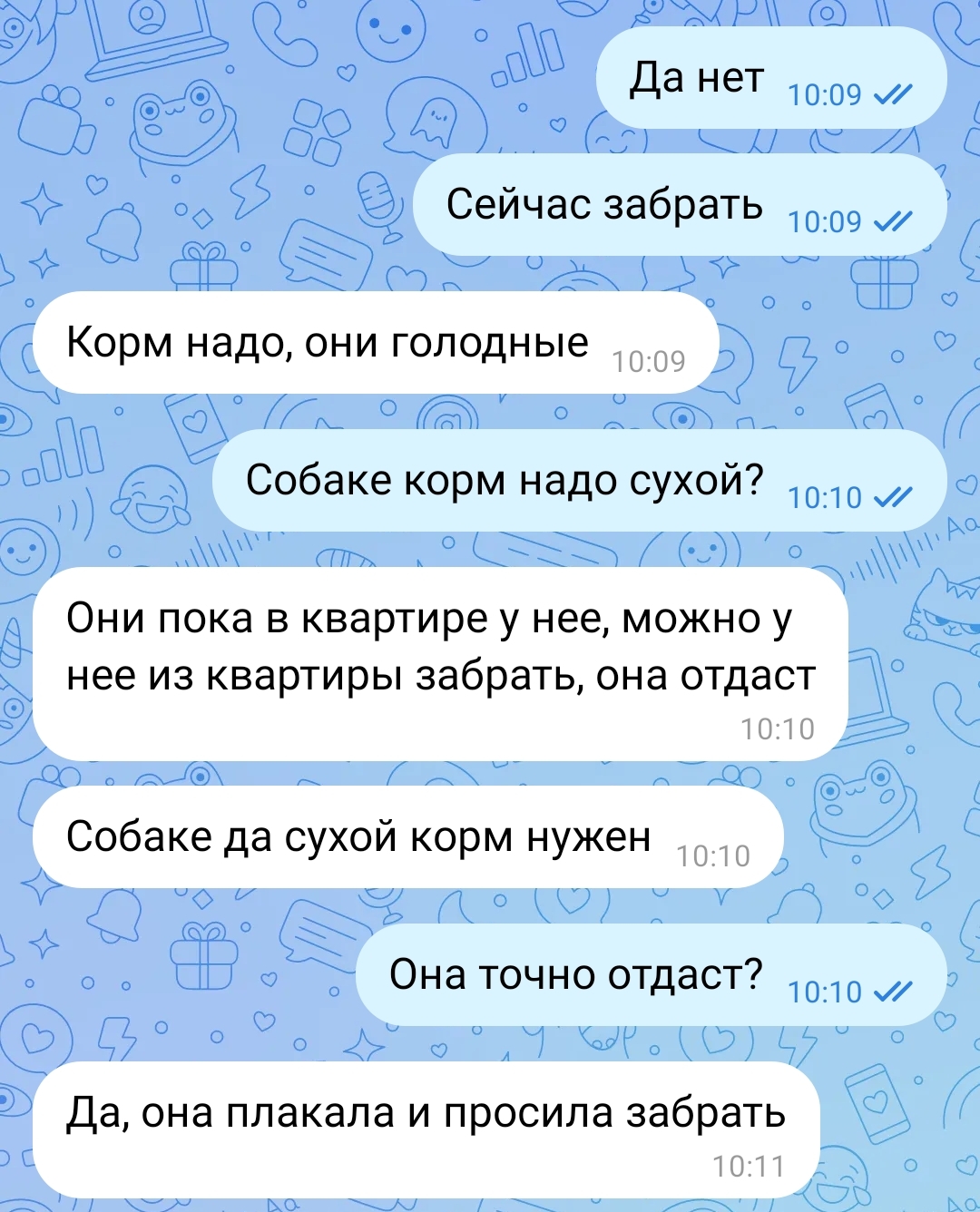 СПб и ЛО. Тосно. Очень нужен дом коту. Сидел неделю без еды. Вчера с  полицией зашли в квартиру. Хозяйка не в состоянии его содержать | Пикабу