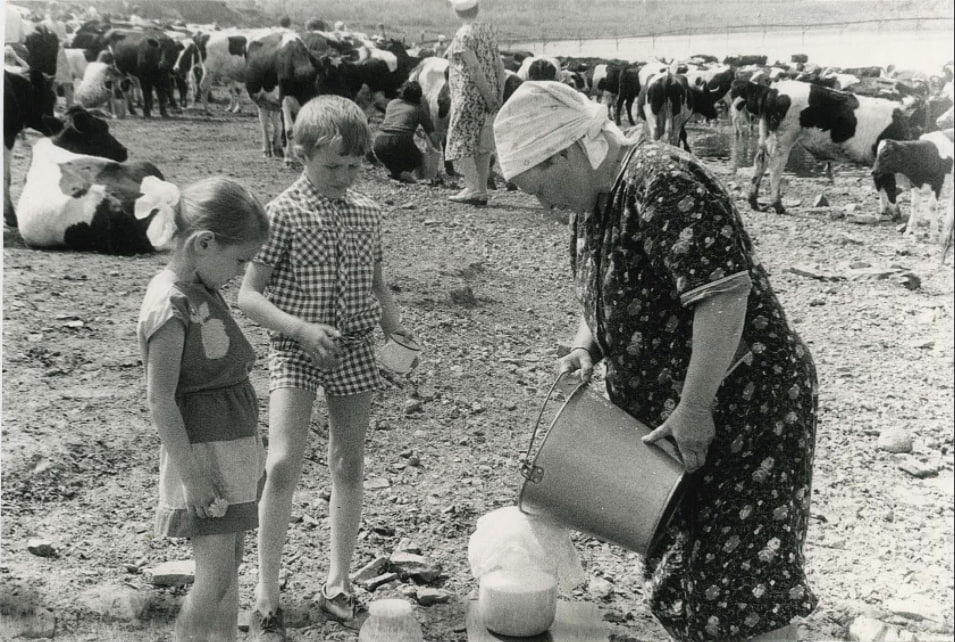 This is how a real childhood summer went - Summer, Childhood, River, Bathing, Village, Swing, Fishing, Made in USSR, Childhood in the USSR, Childhood memories, Memories, the USSR, 60th, 70th, 80-е, Youth, Memory, Film, Youth, Past, Telegram (link), Longpost