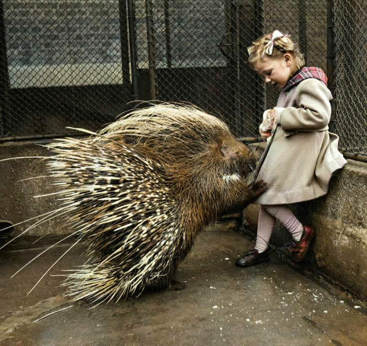 Curious photographs from England's past. 20 colored photographs of the twentieth century. Part III - My, Colorization, Old photo, Historical photo, The photo, Great Britain, England, London, 20th century, Longpost