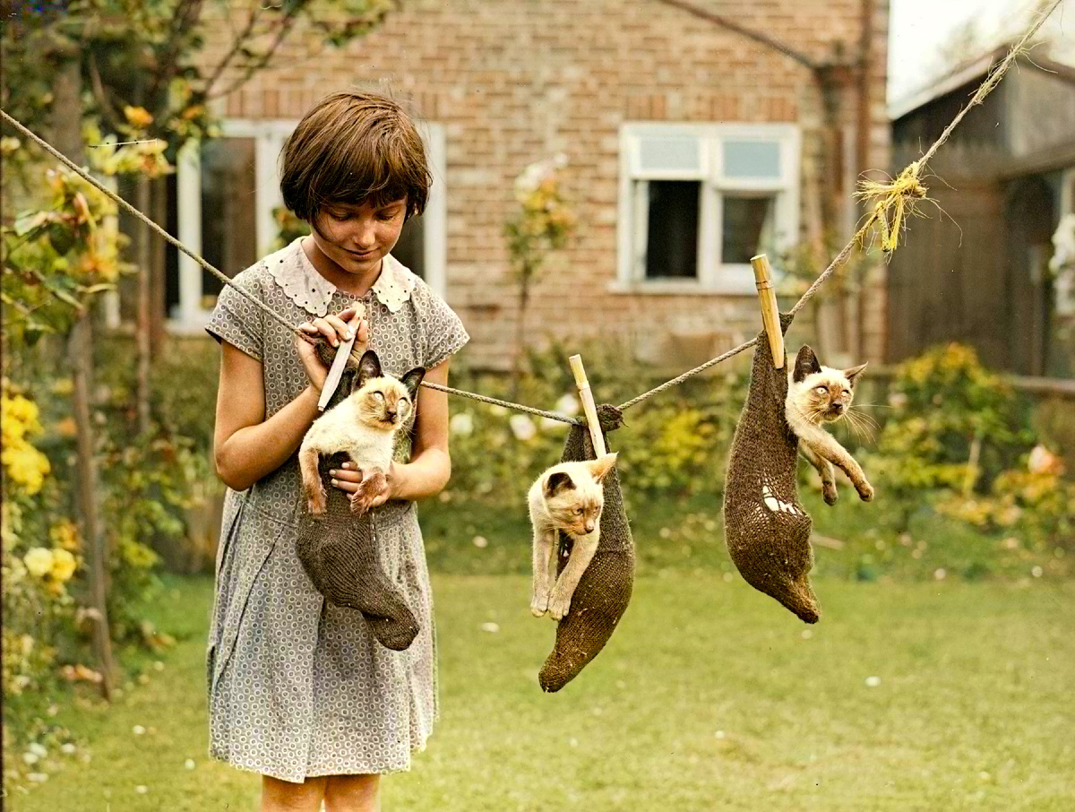 Curious photographs from England's past. 20 colored photographs of the twentieth century. Part III - My, Colorization, Old photo, Historical photo, The photo, Great Britain, England, London, 20th century, Longpost