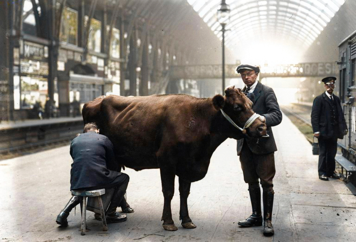 Curious photographs from England's past. 20 colored photographs of the twentieth century. Part III - My, Colorization, Old photo, Historical photo, The photo, Great Britain, England, London, 20th century, Longpost