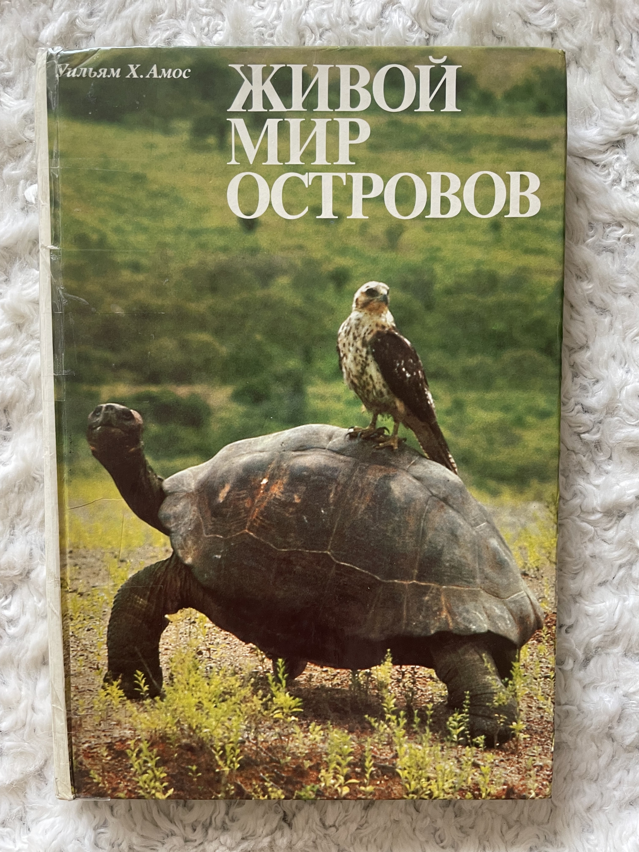 Books from childhood - My, Text, Books, Animals, Nature, Travels, Longpost