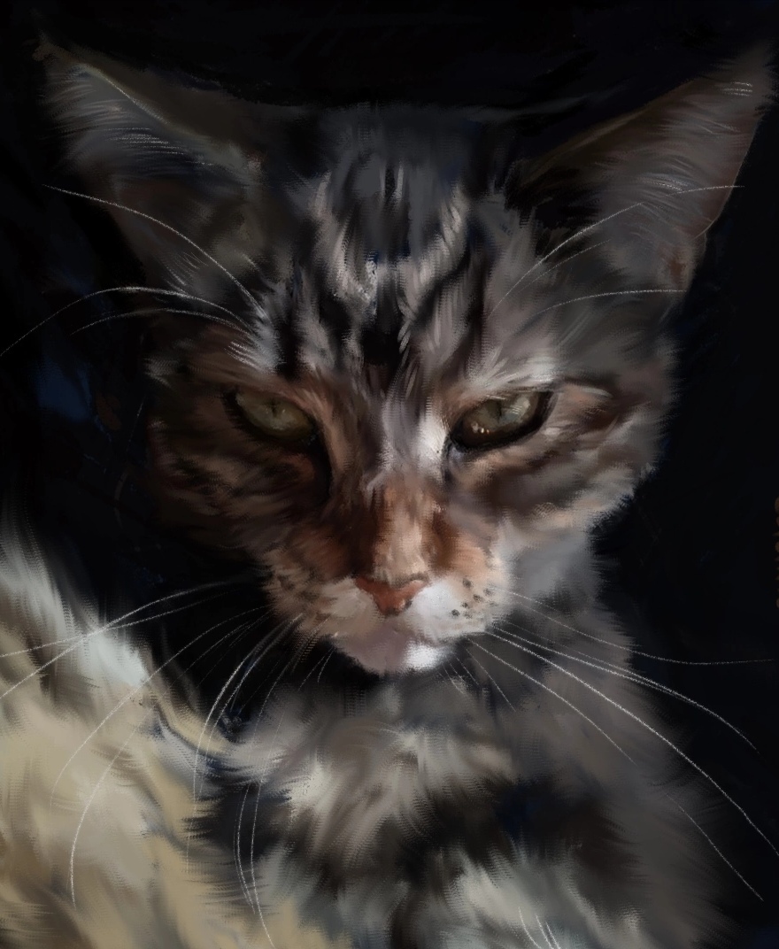 Cat Sima - My, cat, Artist, Drawing, Painting