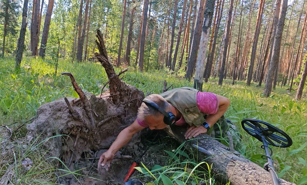 An excellent find or search in the forest awaited me under the roots of a fallen tree. - My, Find, Search, Forest, Longpost