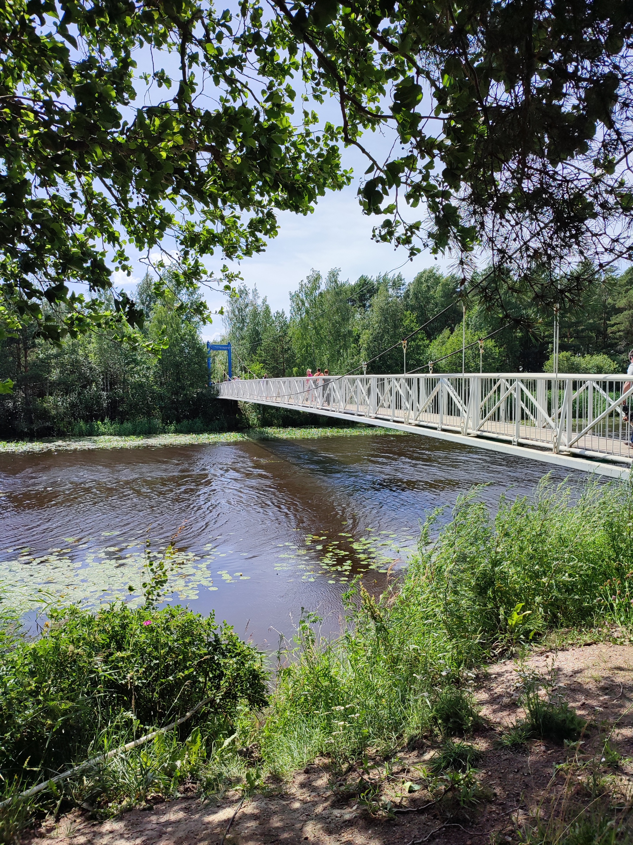 Велопокатушка до Соснового Бора - Велопрогулка, Велосипед, Ленинградская область, Мобильная фотография, Сосновый бор, АЭС, Длиннопост