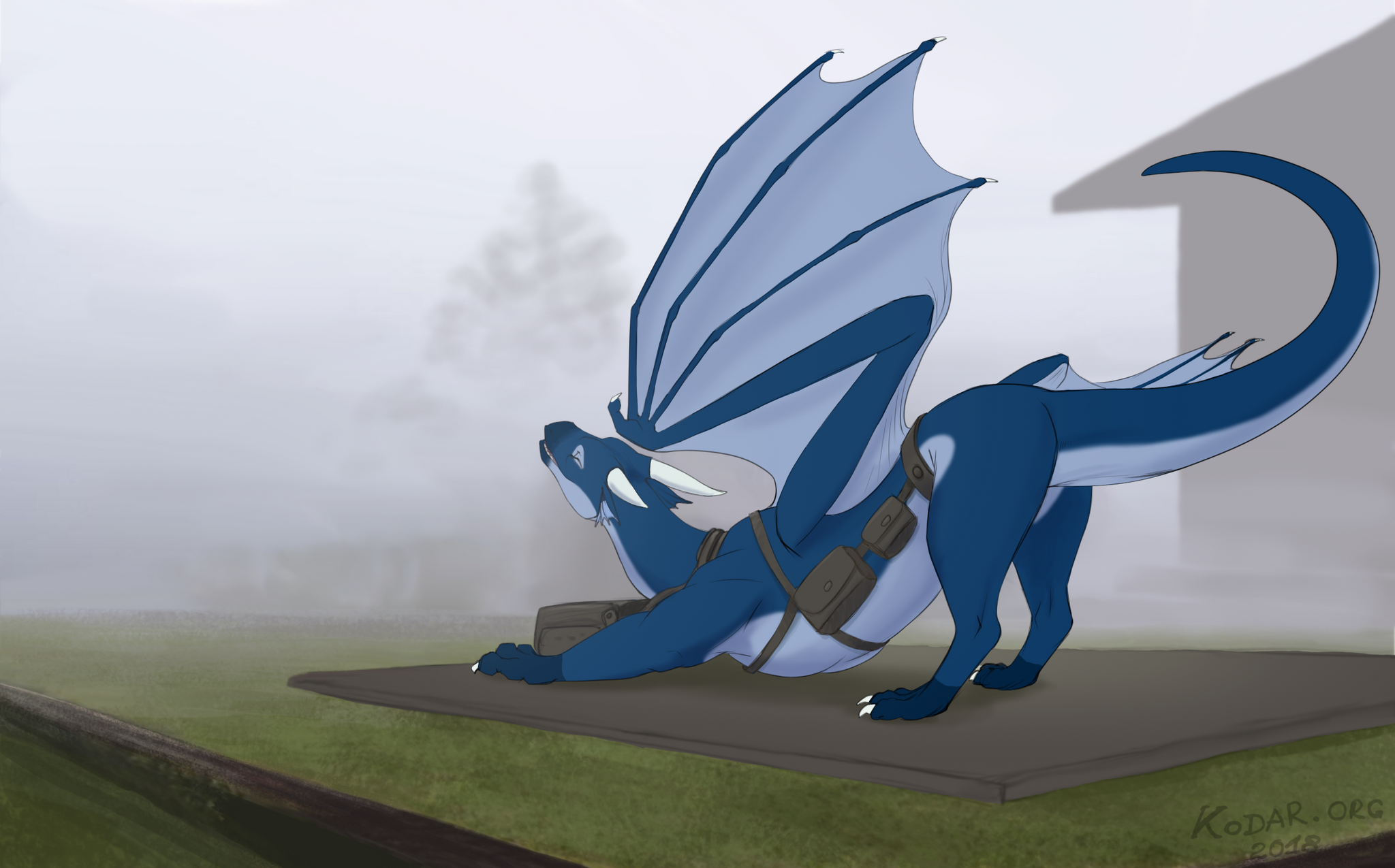 Preparing for the flight - Art, The Dragon, Stretching, Training, Flight, Fog, Сумка, Digital drawing, Kodardragon, Blue