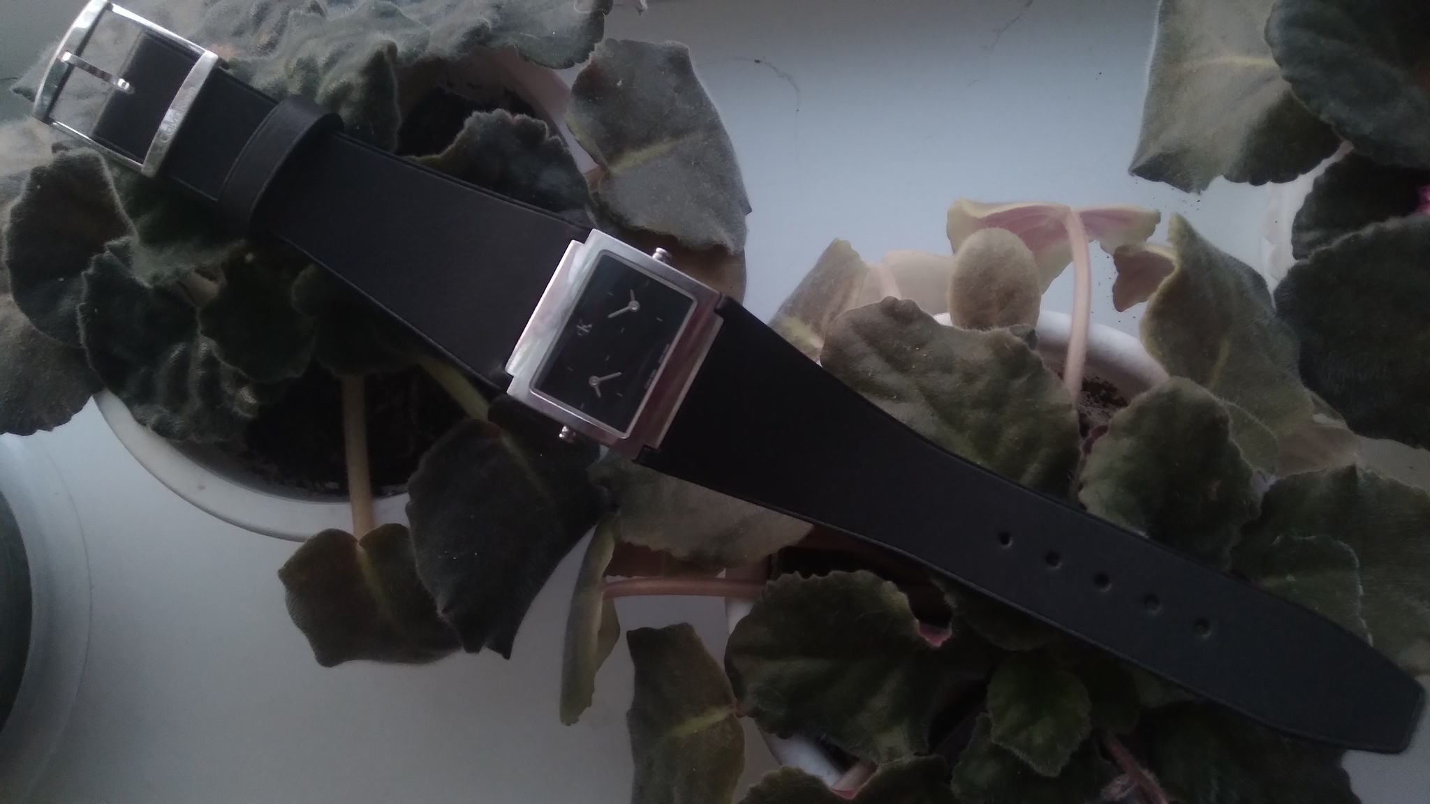 Watch strap Calvin Klein K04201. Strap 29 mm - My, Accessories, Watch strap, Strap, Leather products, Calvin Klein, Leather, Womens, Longpost, Needlework without process