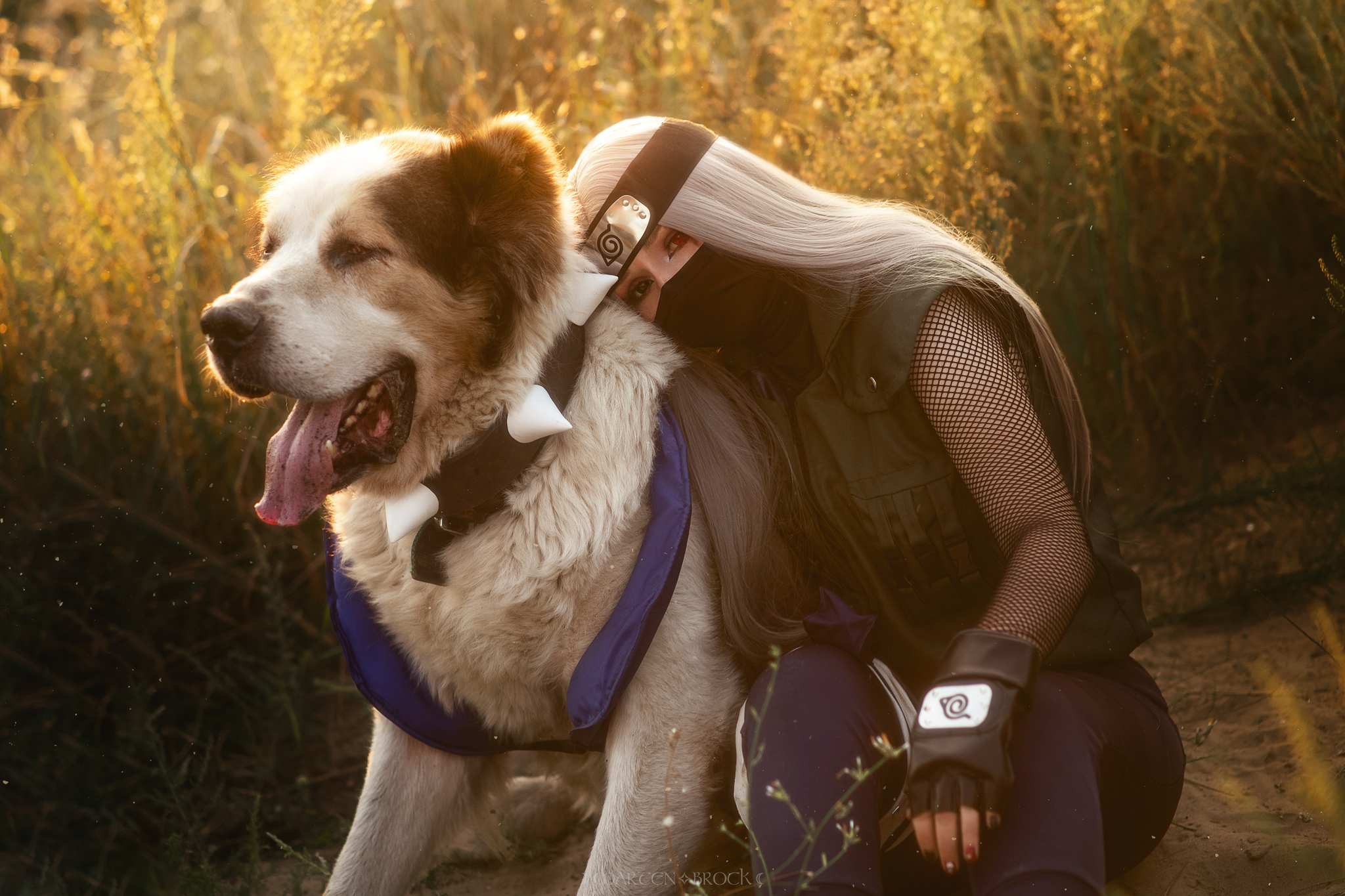 Kakashi Hatake fem! Ver - My, Naruto, Kakashi Hatake, Cosplay, Anime, Dog, Female version, Longpost, The photo