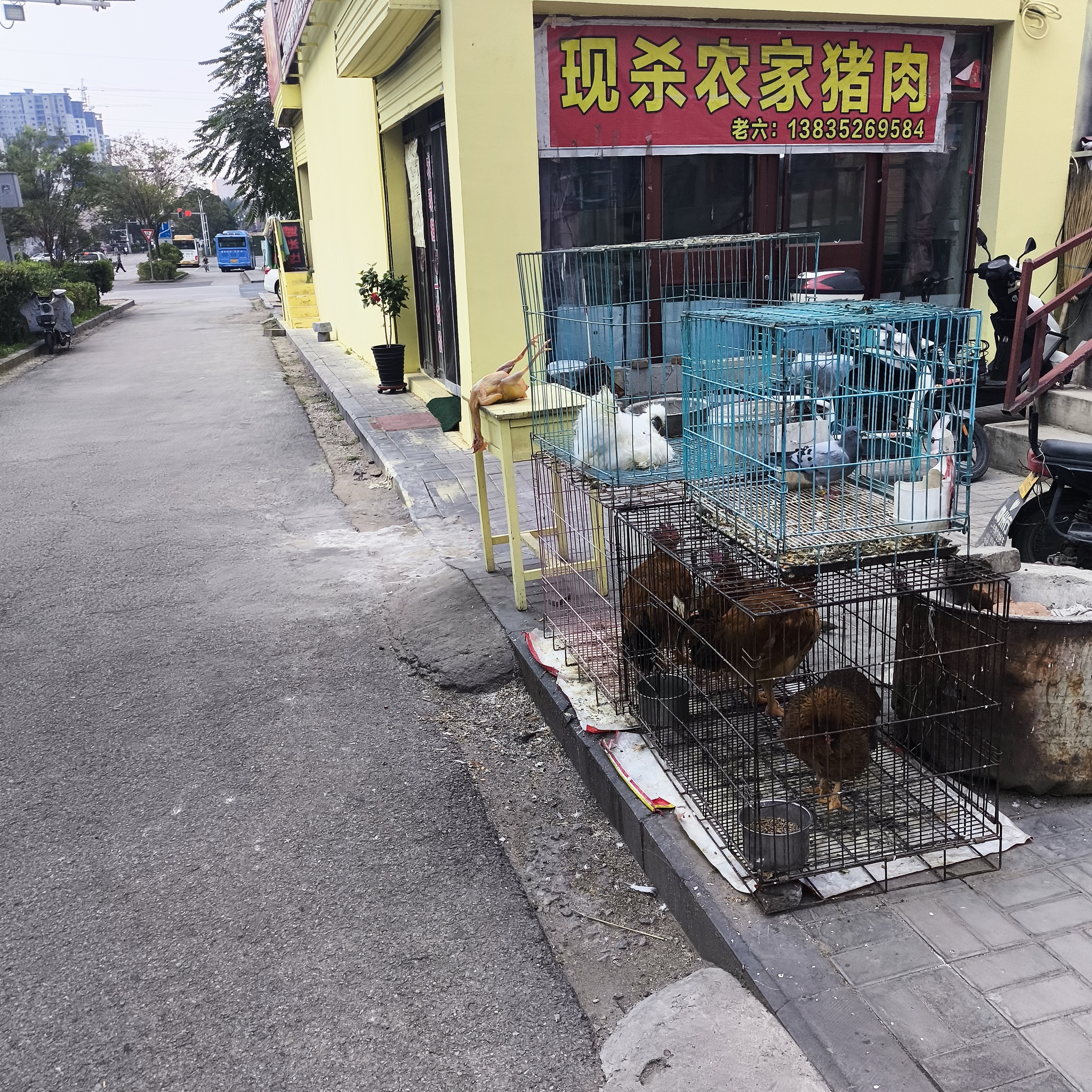 Diary of a trip to Melanesia. China. Day 19. Yungang Grottoes - My, Life stories, Travels, Drive, Hitch-hiking, Good people, China, Around the world, Grotto, Caves, Informative, Buddhism, Туристы, Video, Longpost